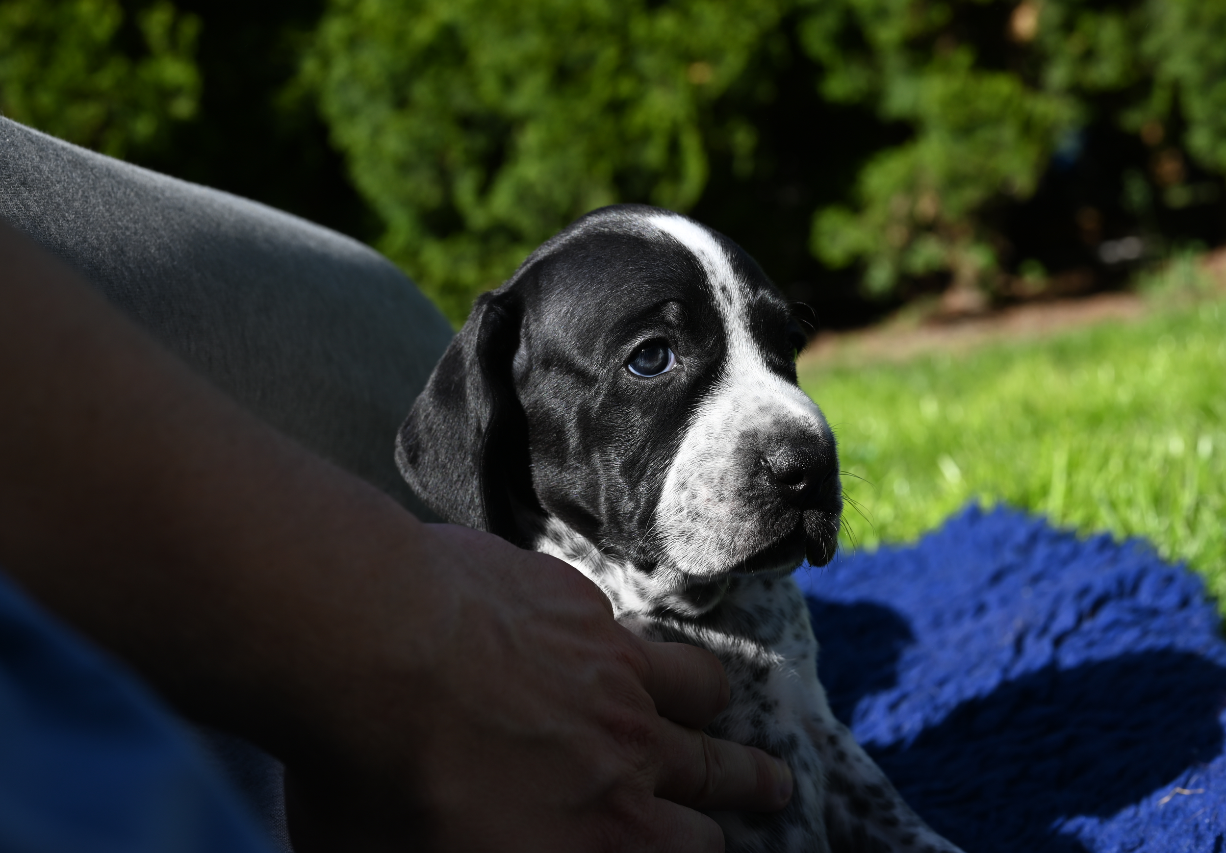 DSC_9816.JPG