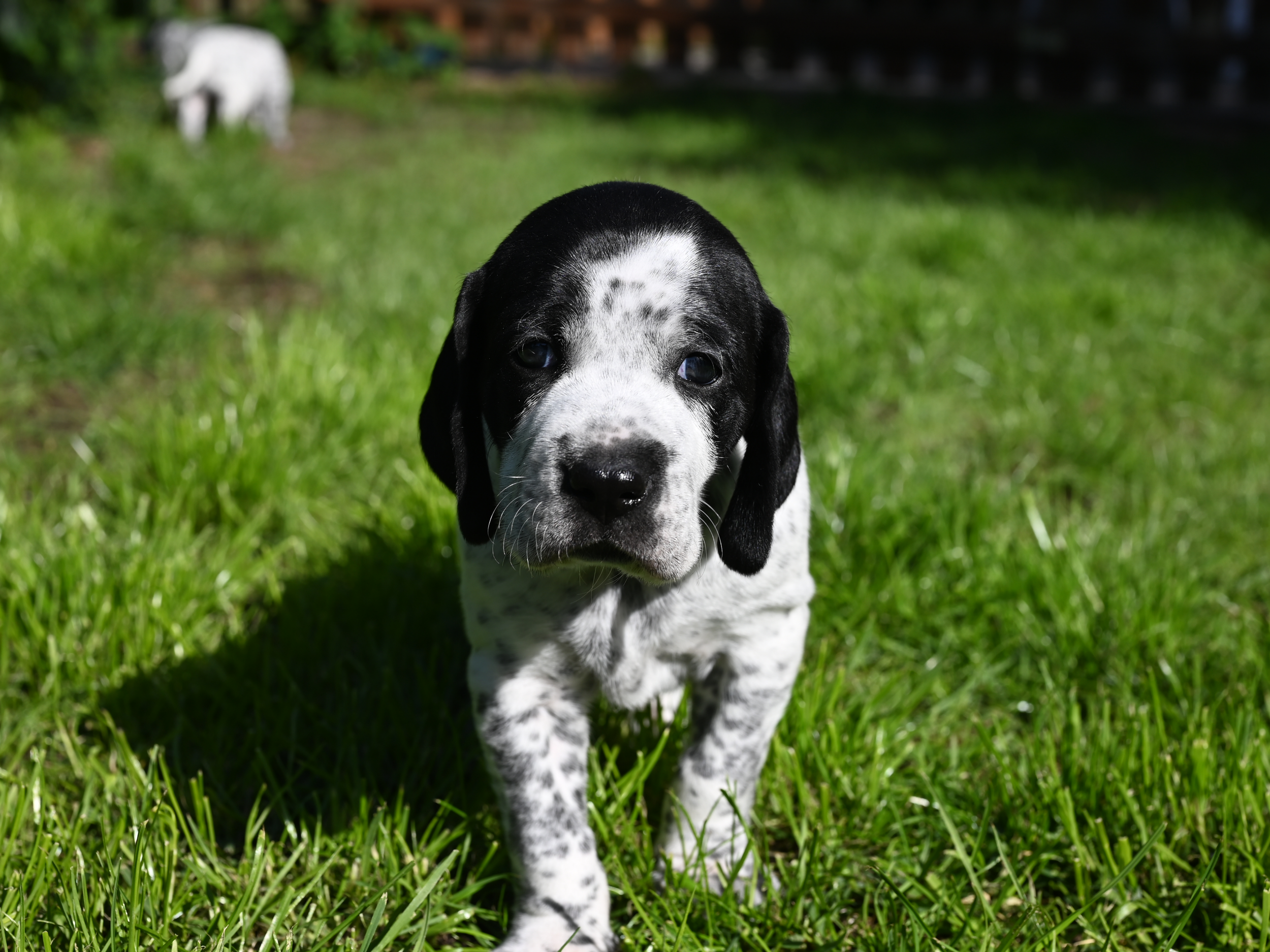 DSC_9784.JPG