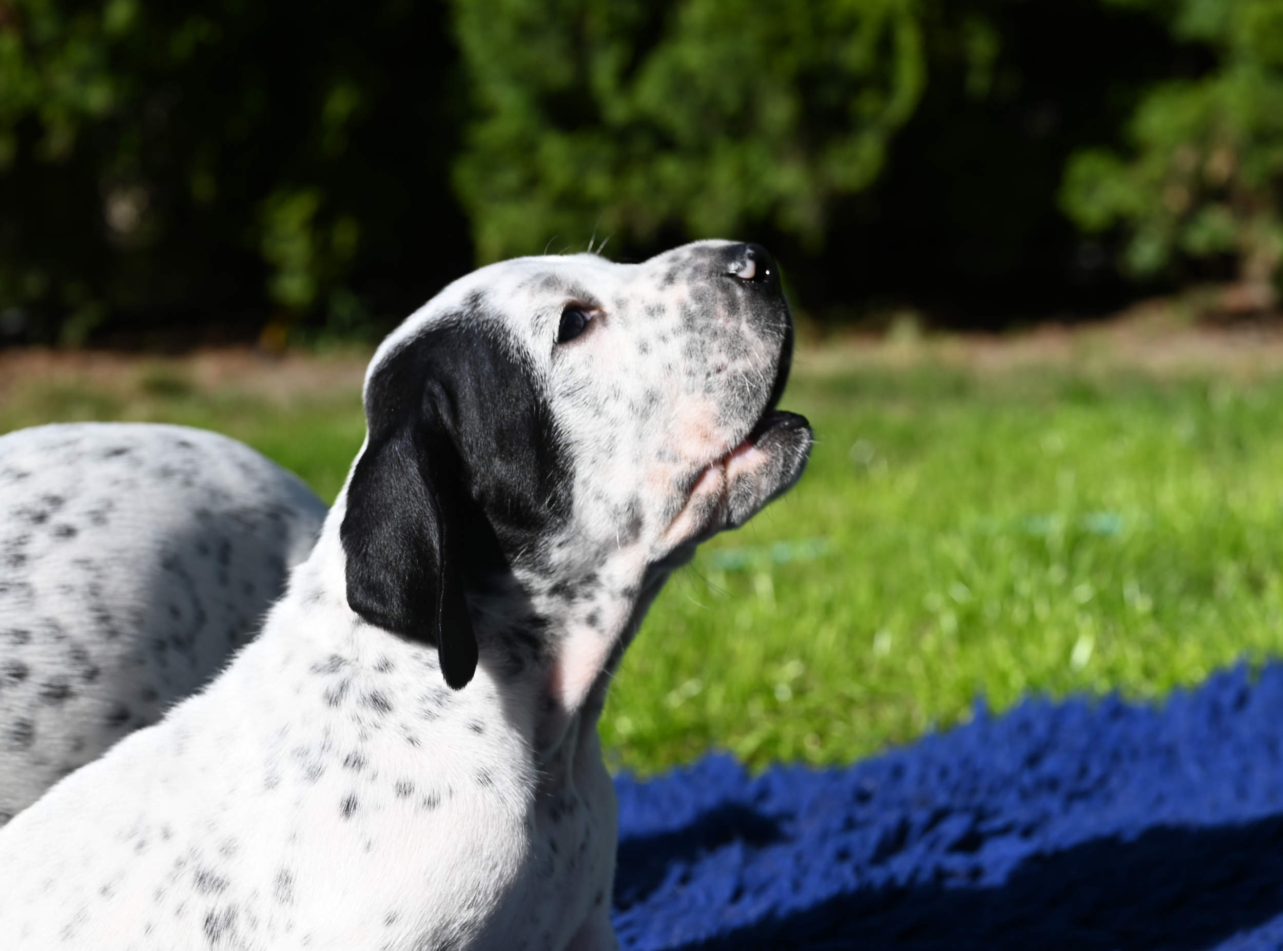 DSC_9788.JPG