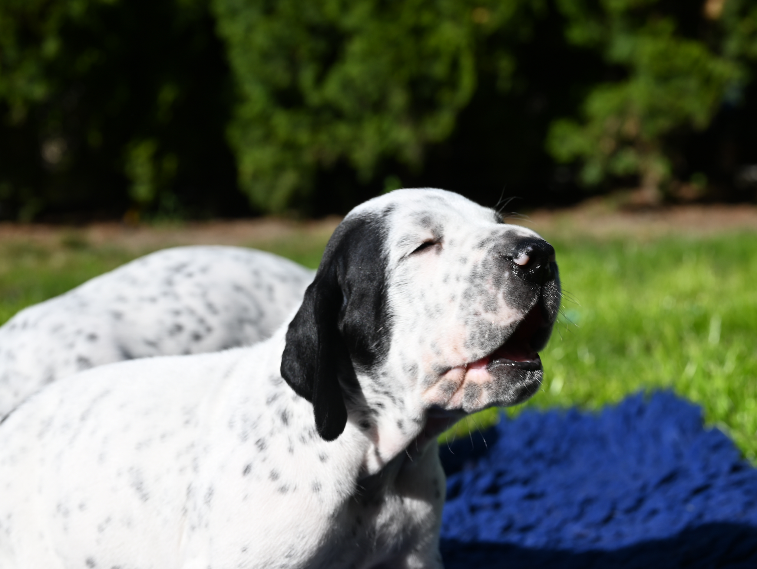 DSC_9787.JPG