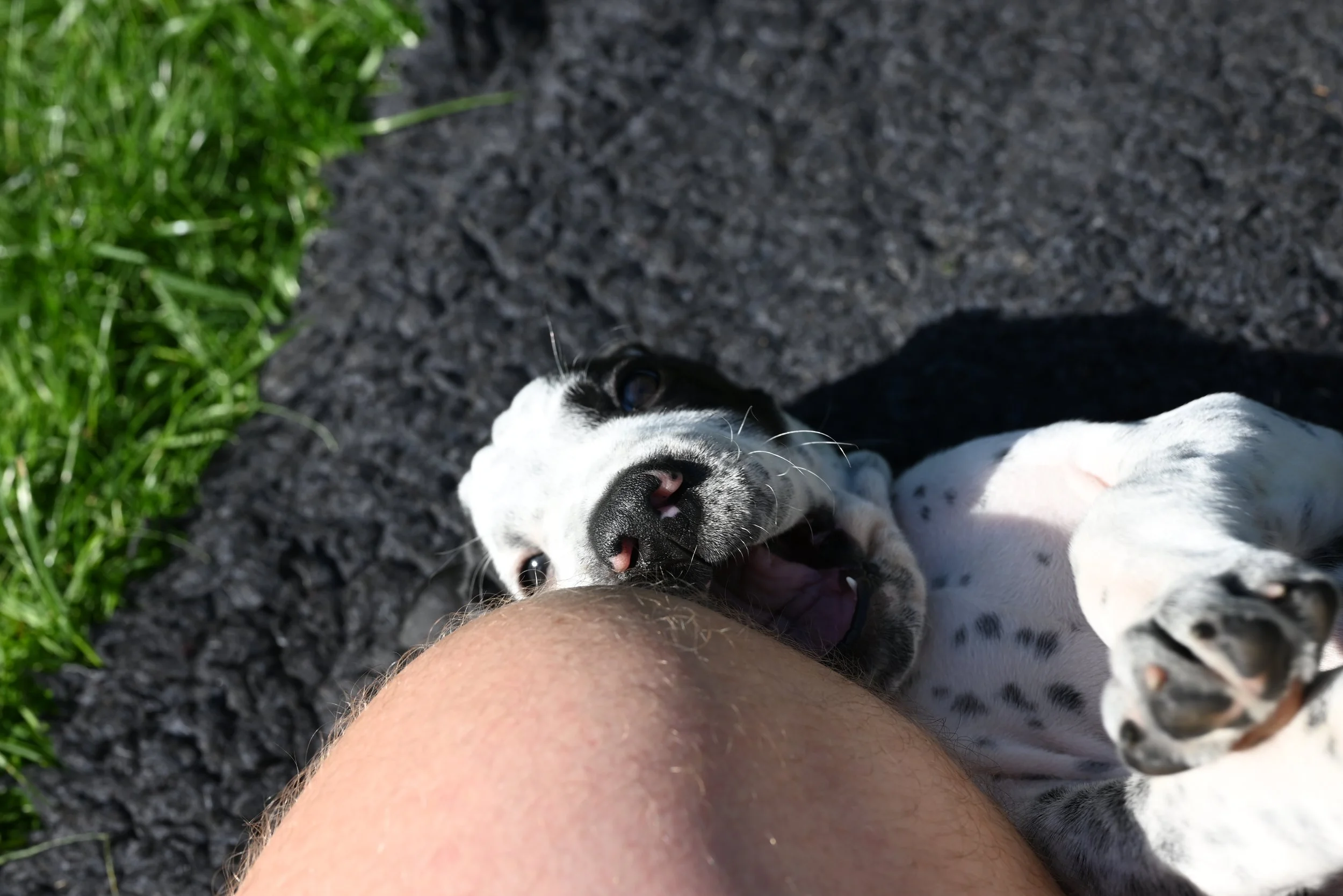 DSC_9988.JPG