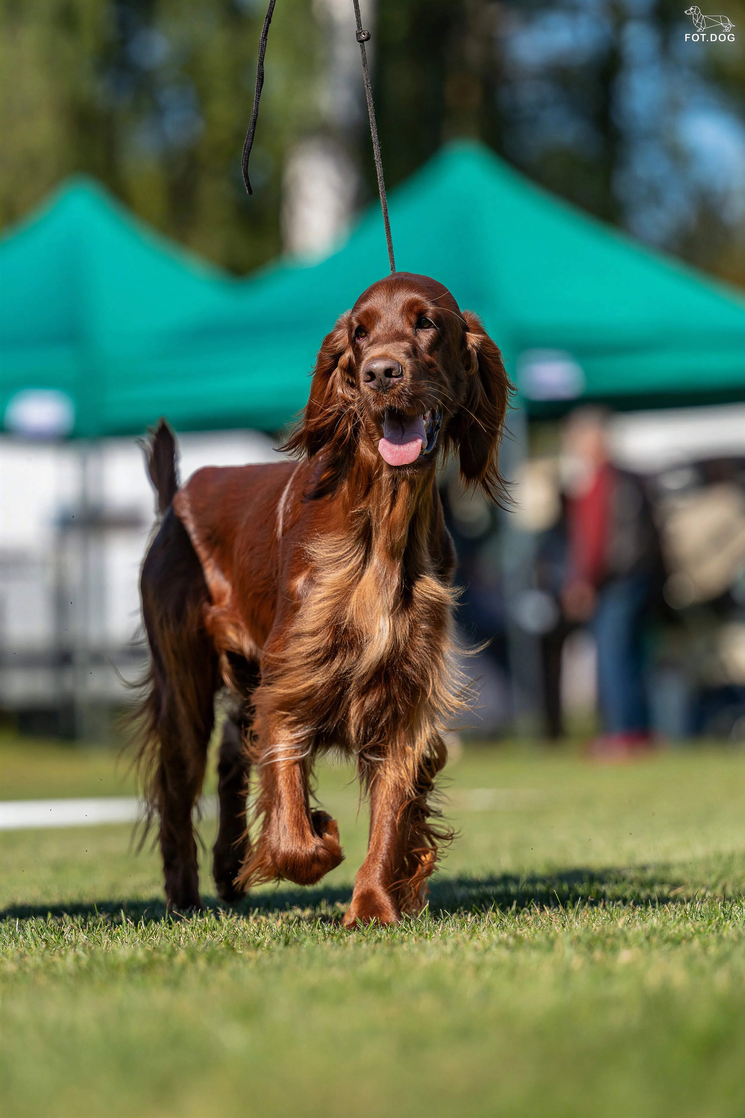 FOTDOG-3082.jpg
