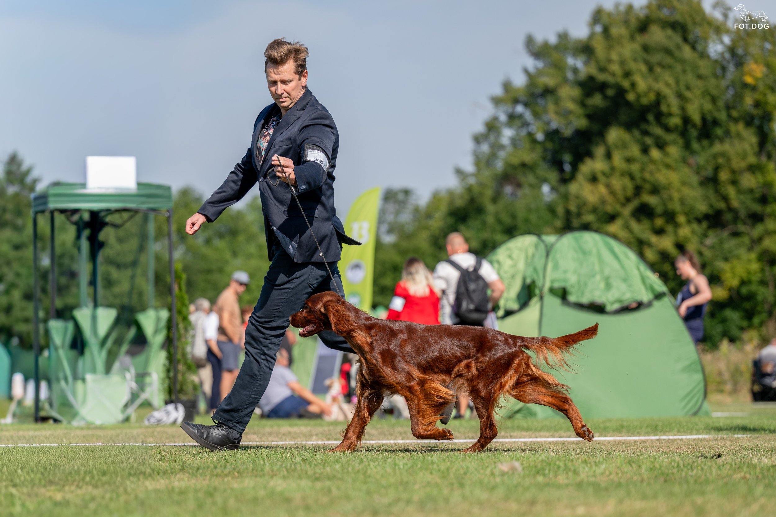 MOXI z tytułem JUNIOR CHAMPION OF POLAND