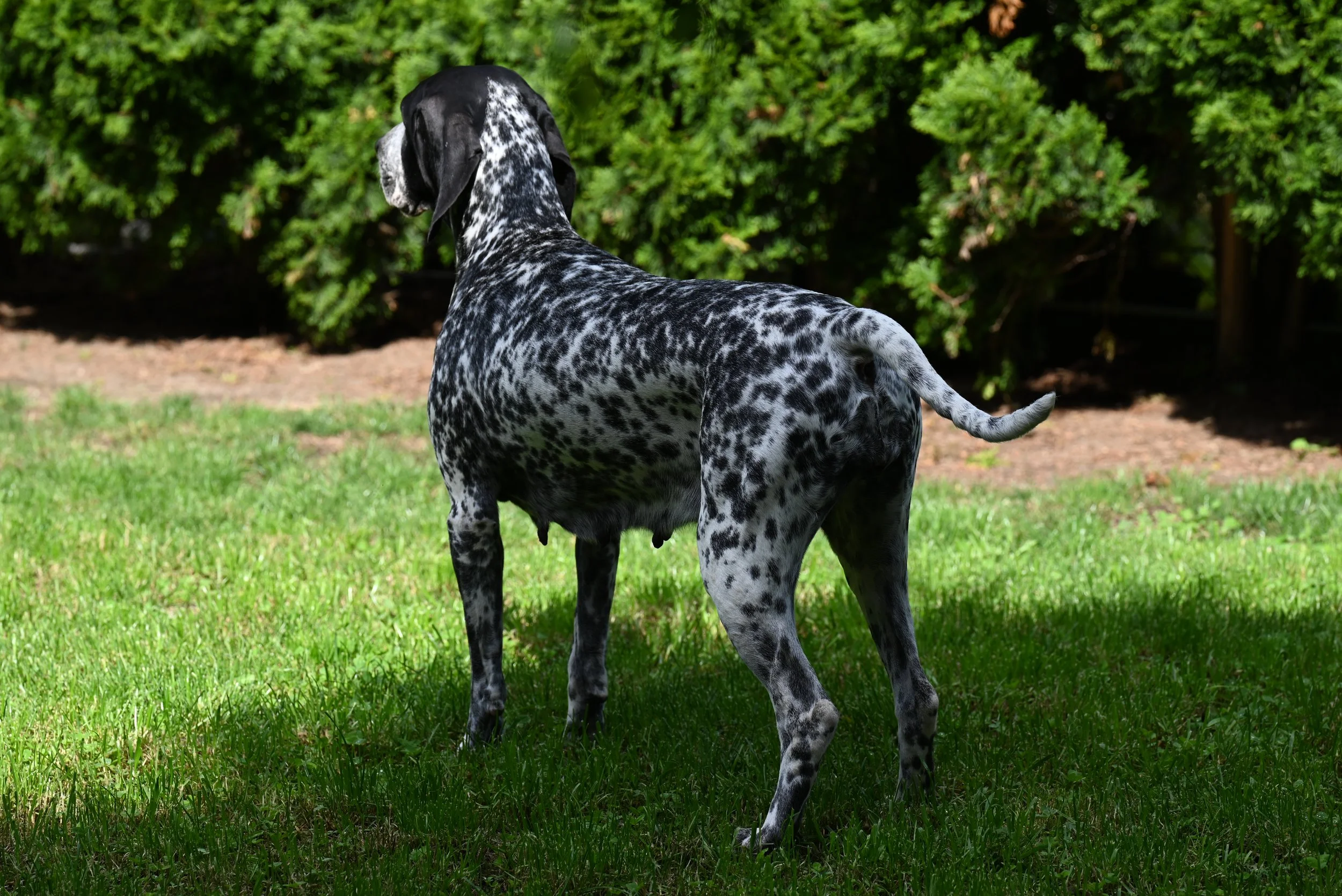 DSC_0976.JPG