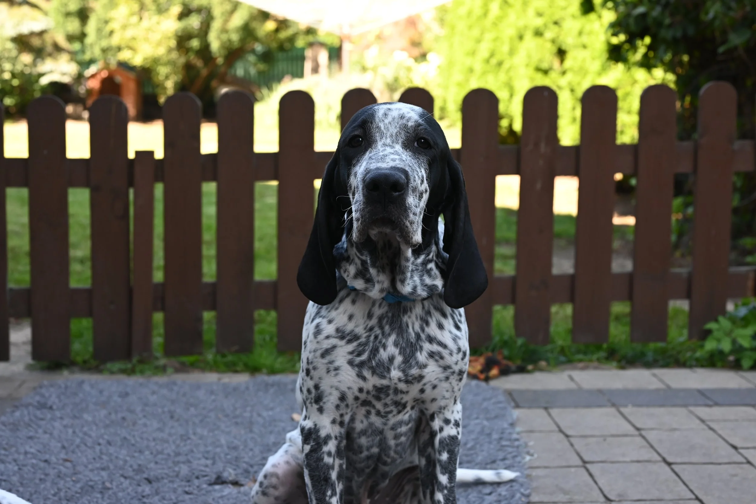 DSC_0849.JPG