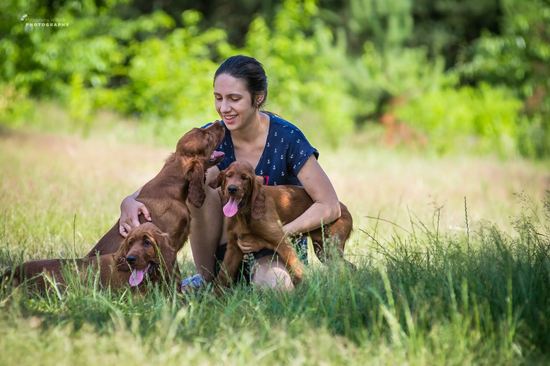 Hodowczyni Ada Drożdż bawi się z czterema szczeniakami, seterami irlandzkimi.