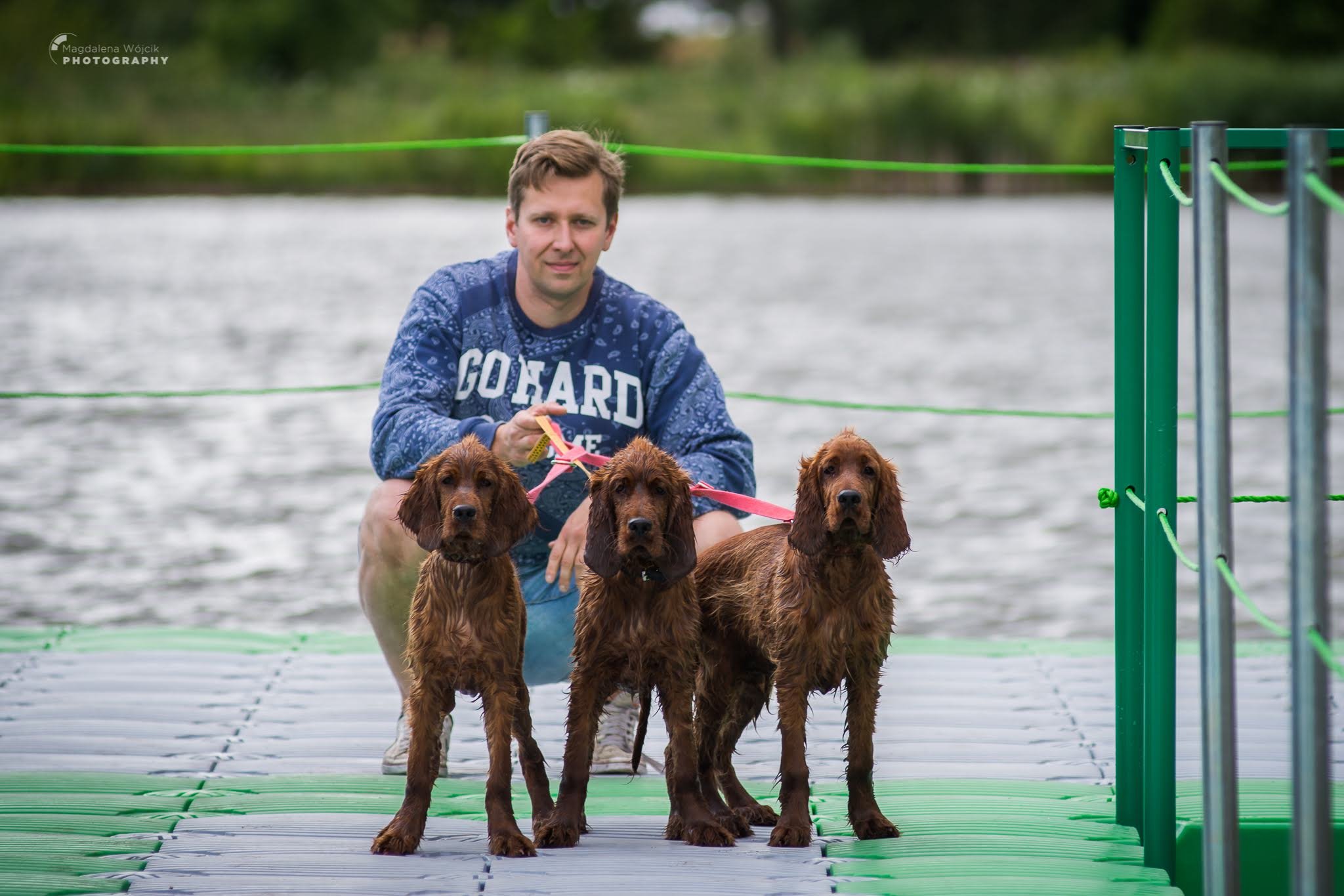 Kąpiel szczeniaków setera irlandzkiego hodowli Ginger State Of Mind.