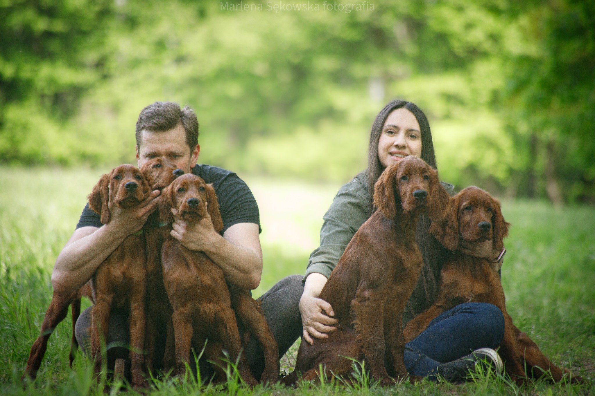 Prezentacja Hodowców Ginger State Of Mind ze szczeniakami setera irlandzkiego.
