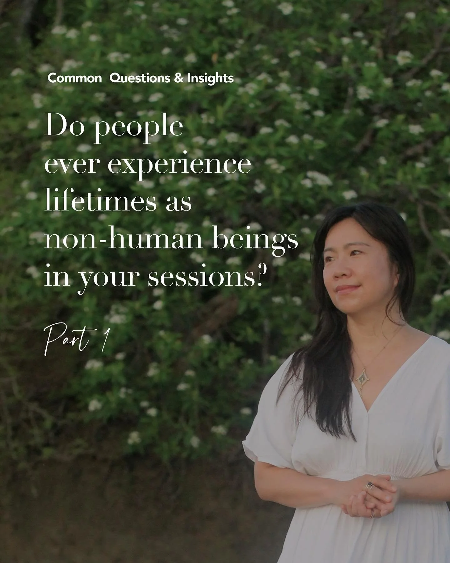 Do people ever experience lifetimes as non-human beings in your sessions?
Yes. So many times!

Here are a few stories from my Common Questions series I am starting. 

Vicky* experienced life as an eagle, soaring over the ocean and feeling powerful at