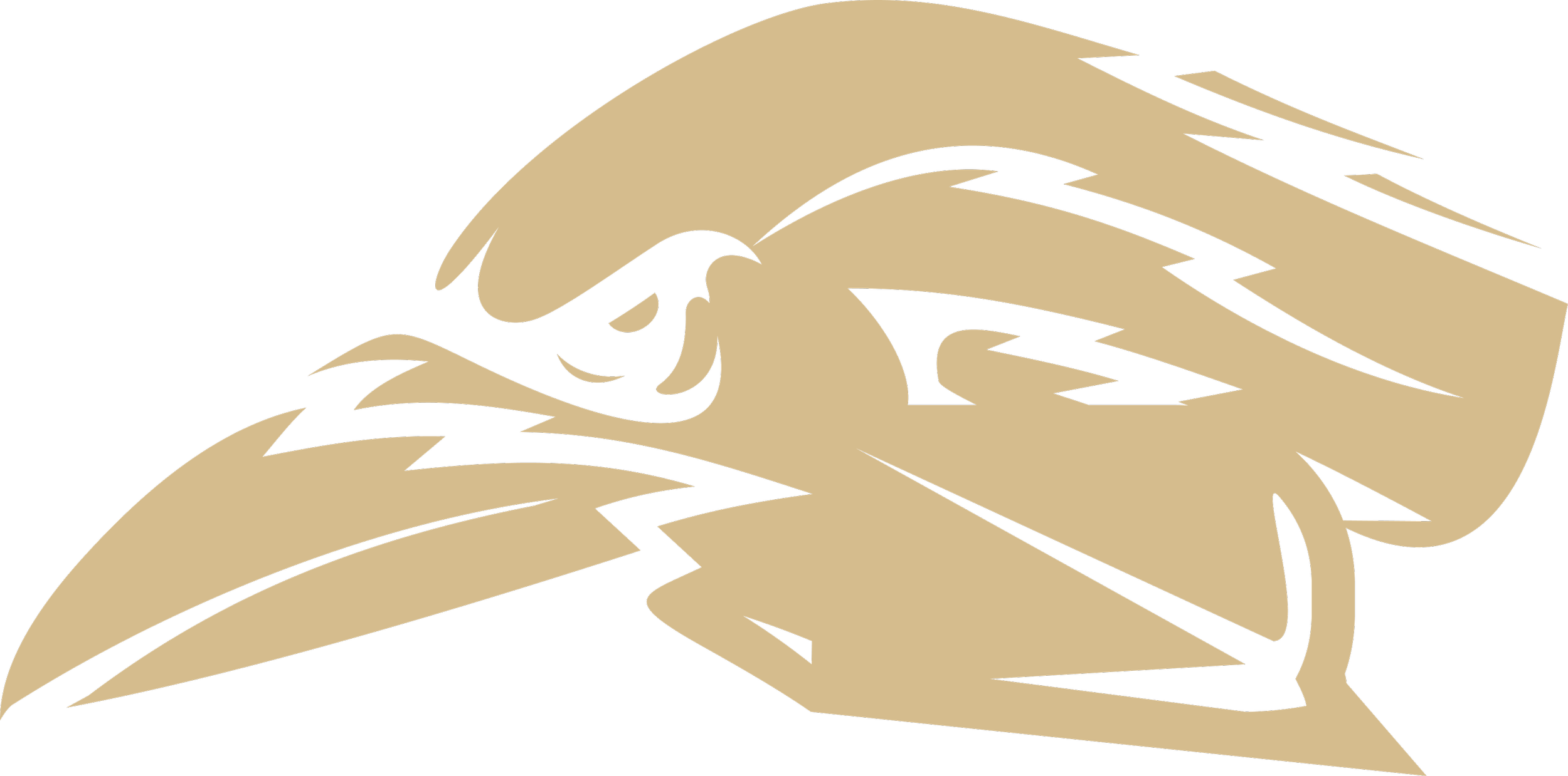 AFC Bülach Ravens mark