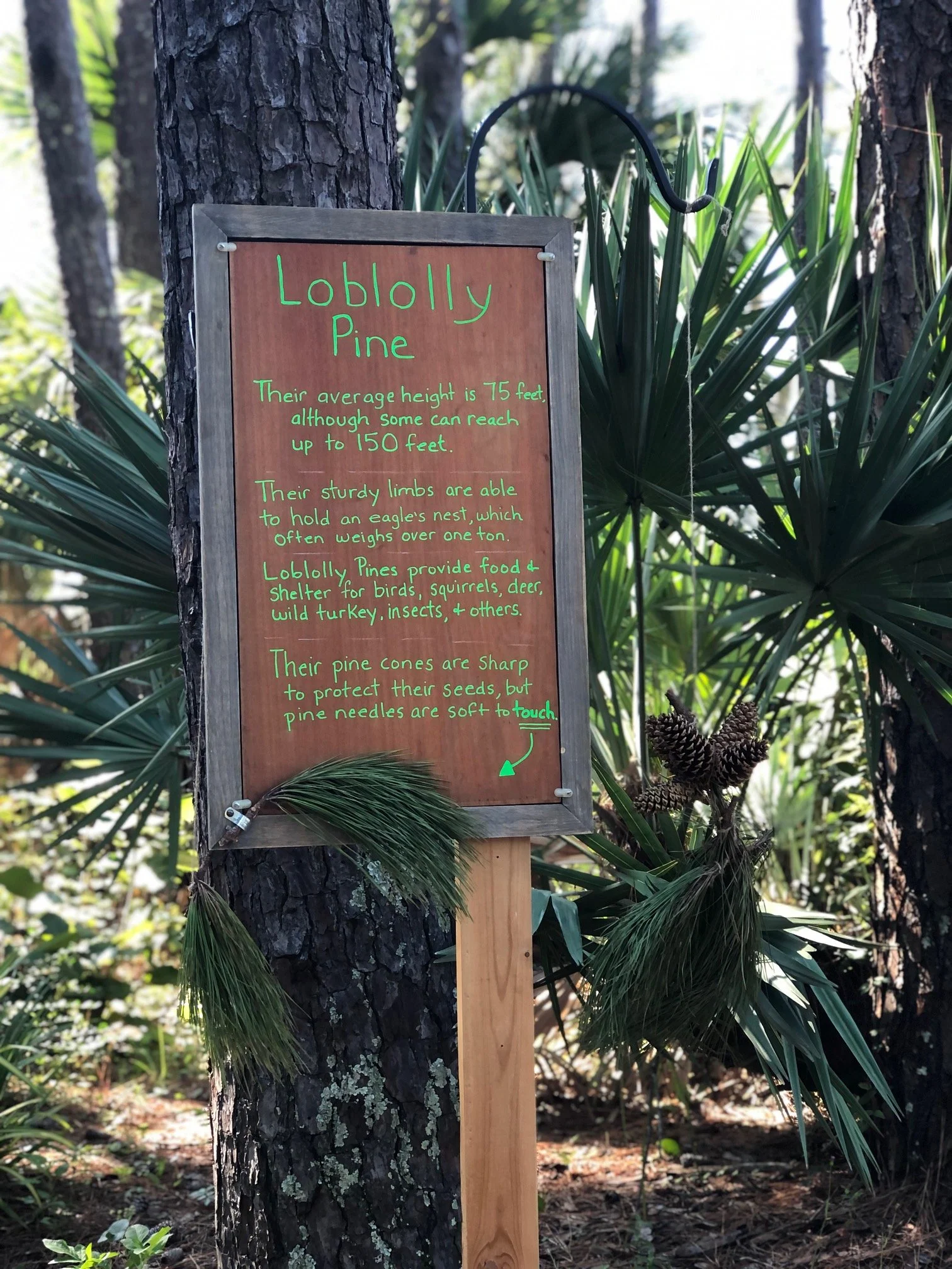 Sign 2.jpg