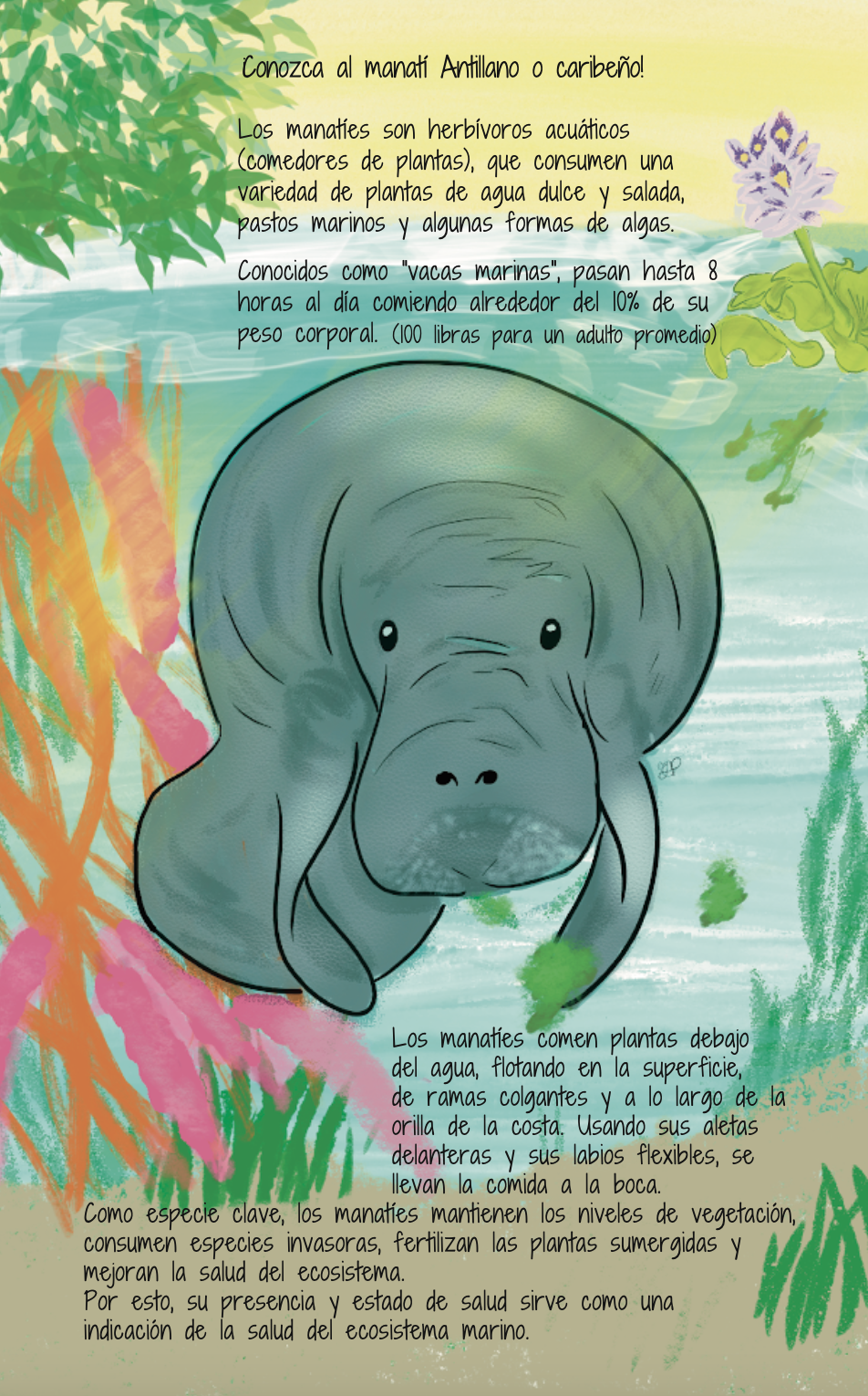manatee grasses.png
