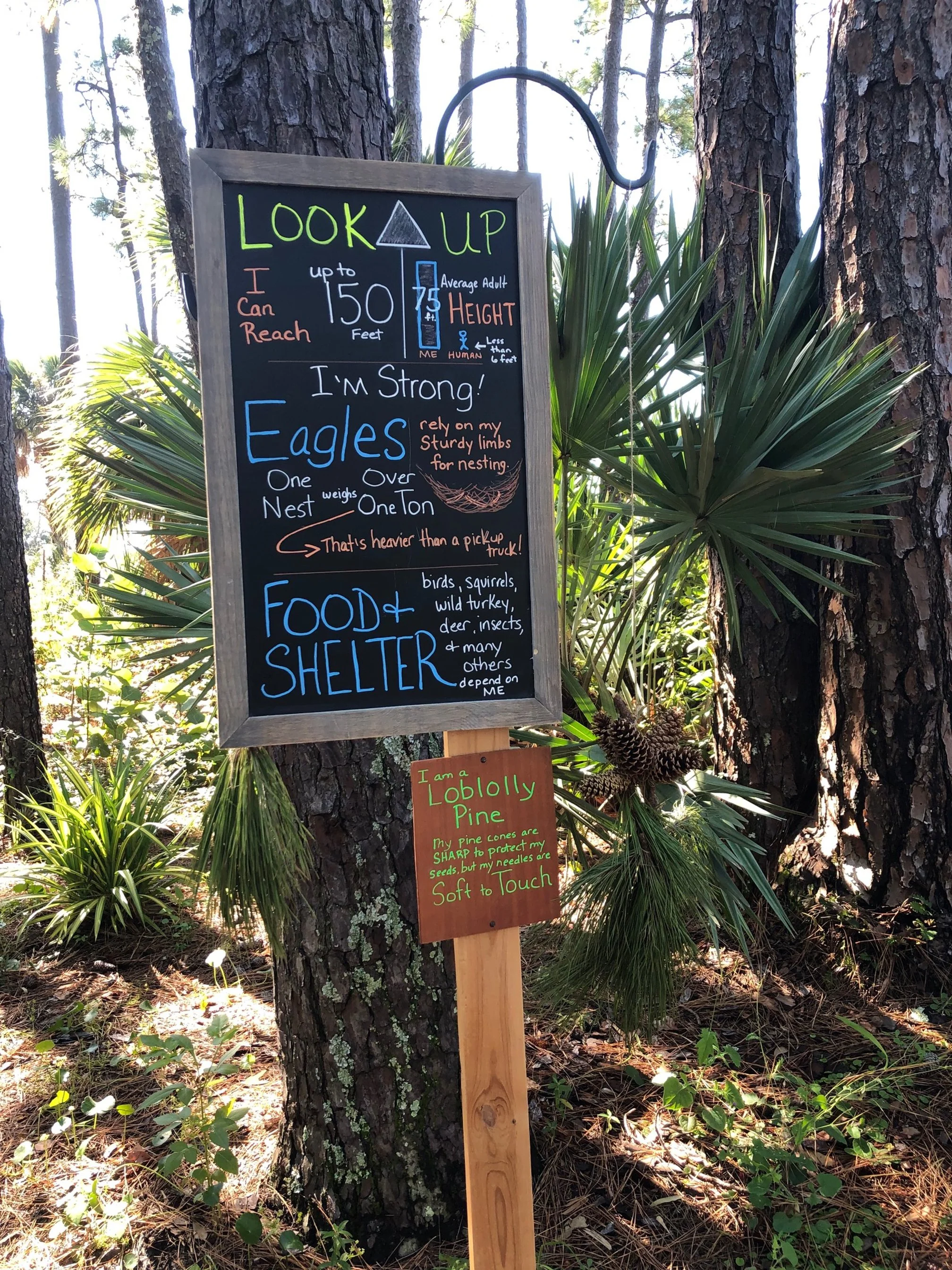 Sign 1.jpg
