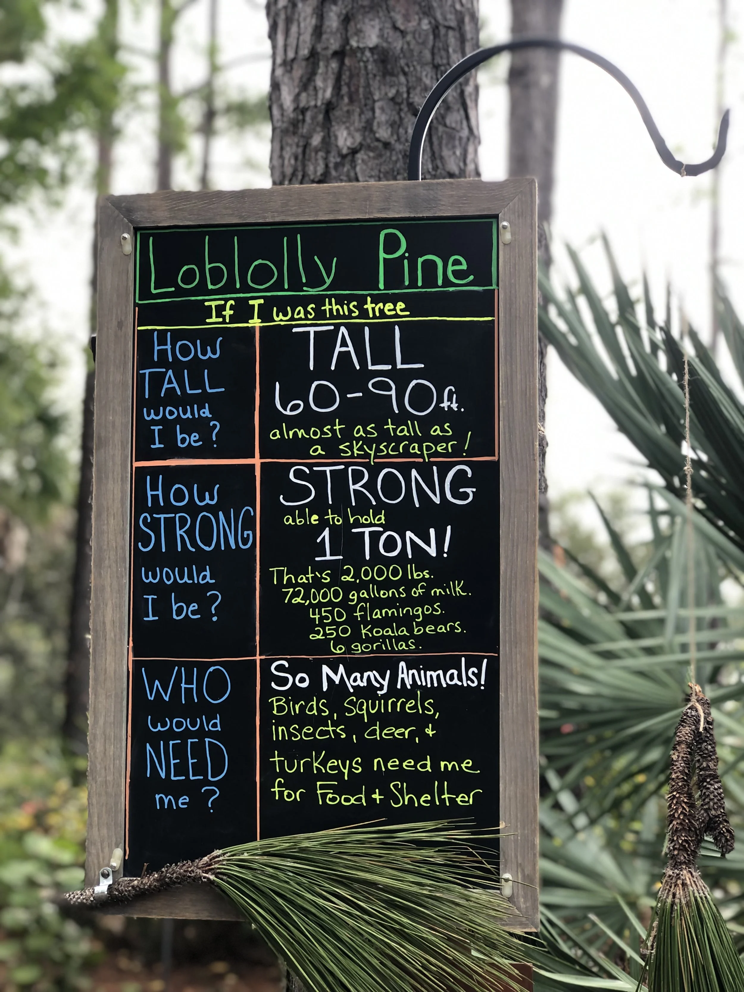Sign 3.jpg
