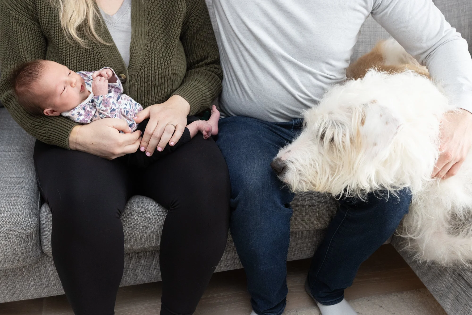 fam_003.jpg