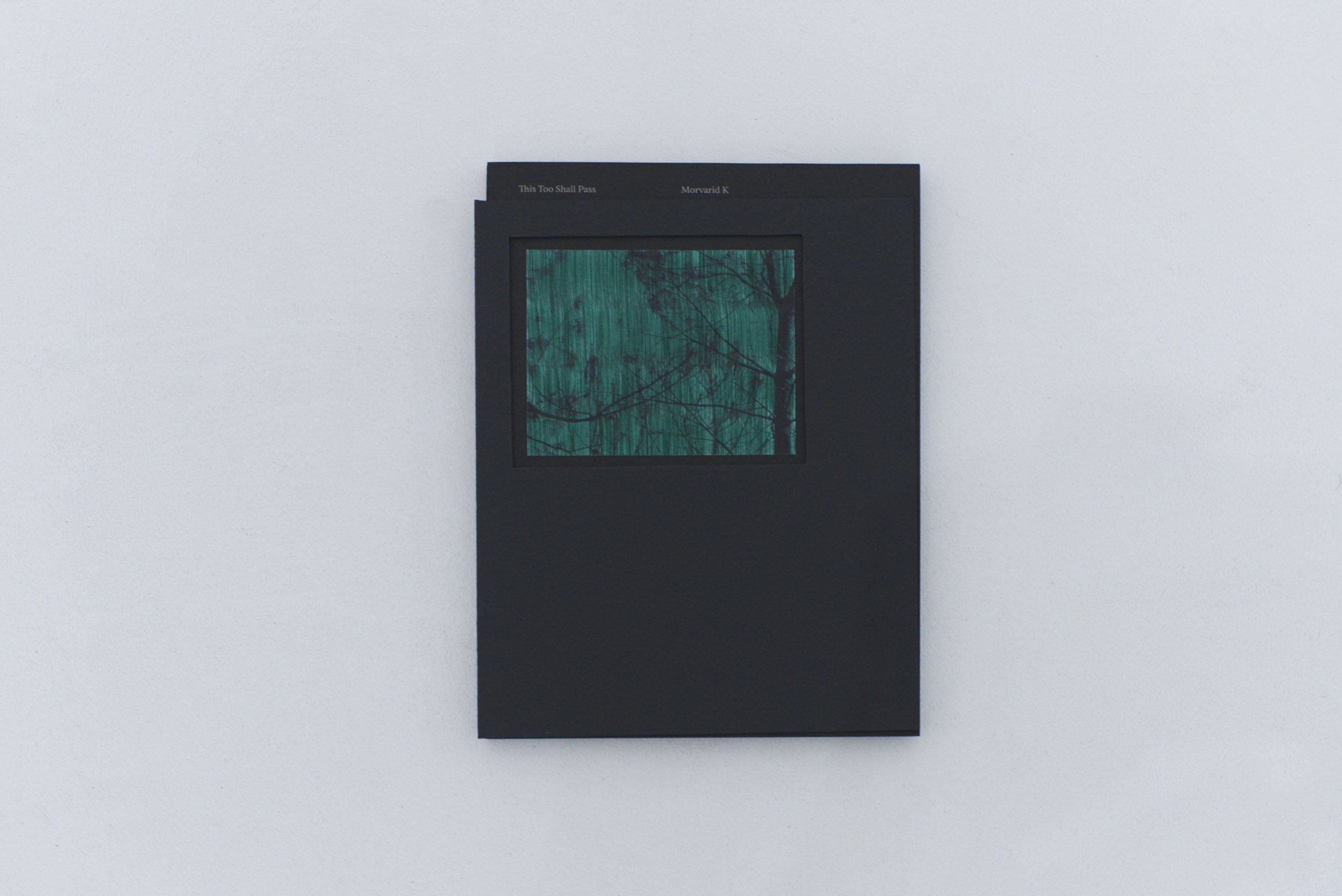 Livre_TTSP_cover_9.jpeg
