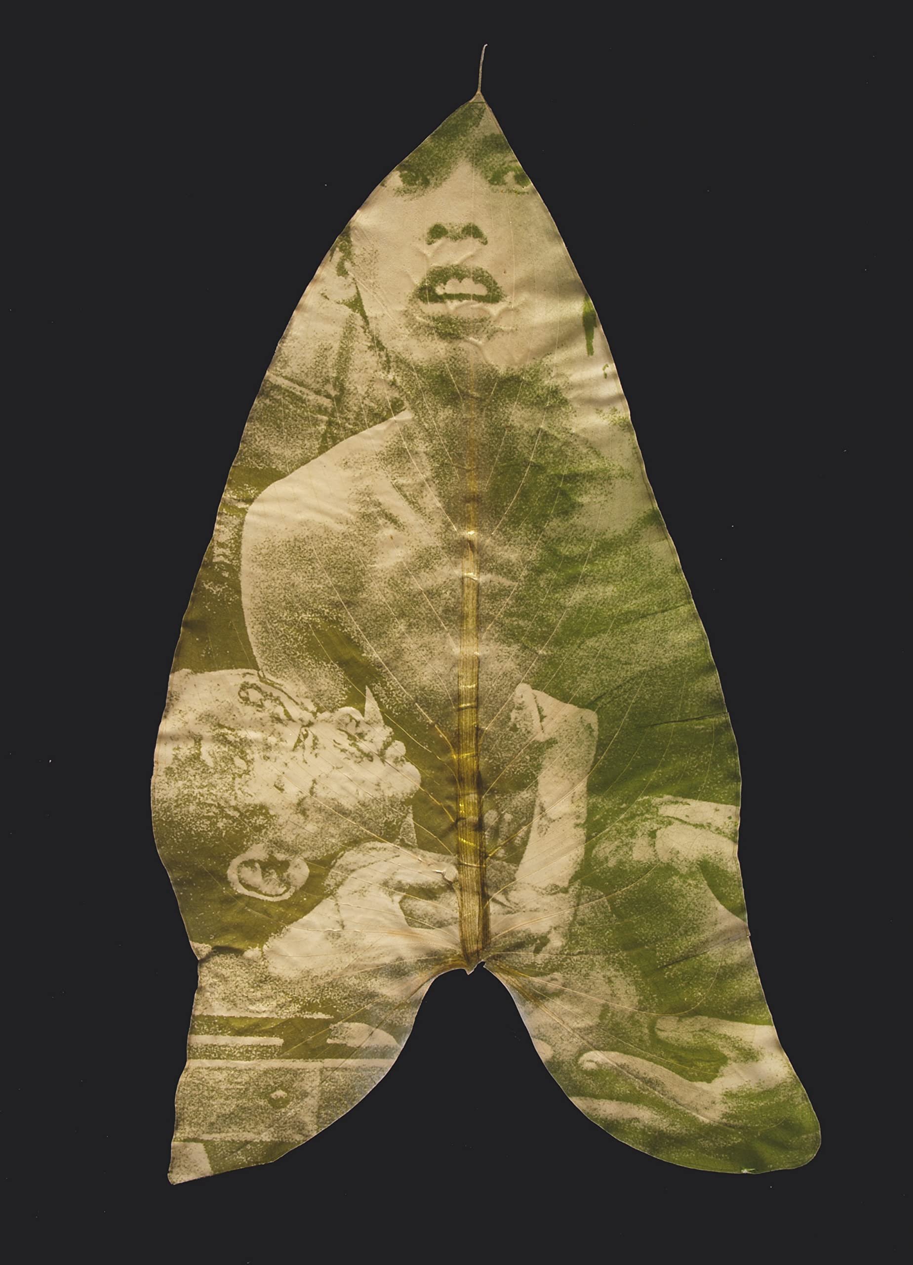 Michel-Poivert_Contre-Culture-photographie-contemporaine8.jpeg