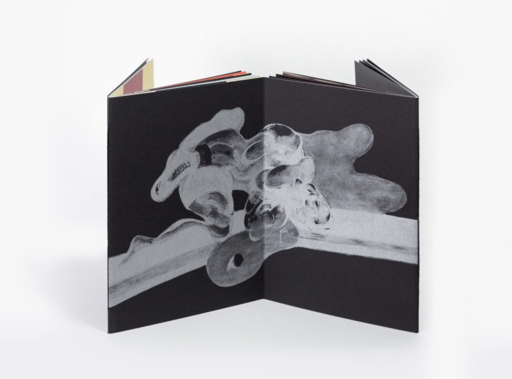 Francis-Bacon-x-Antoine-d'Agata3.jpeg