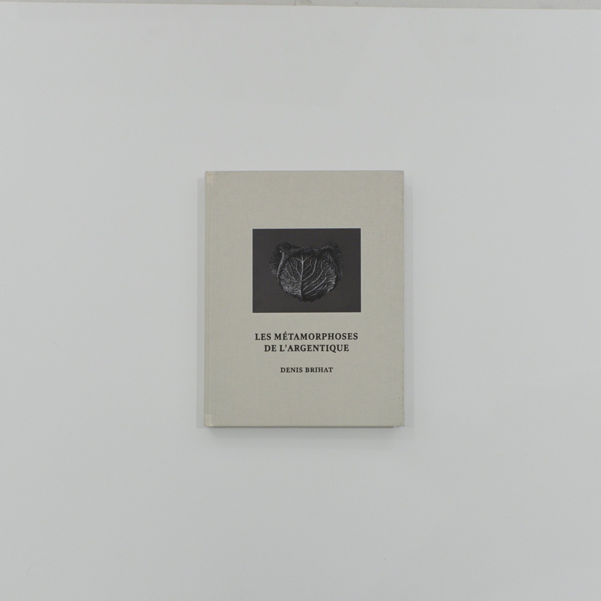 Denis-Brihat_Les-métamorphoses-de-l'argentique_A.jpeg