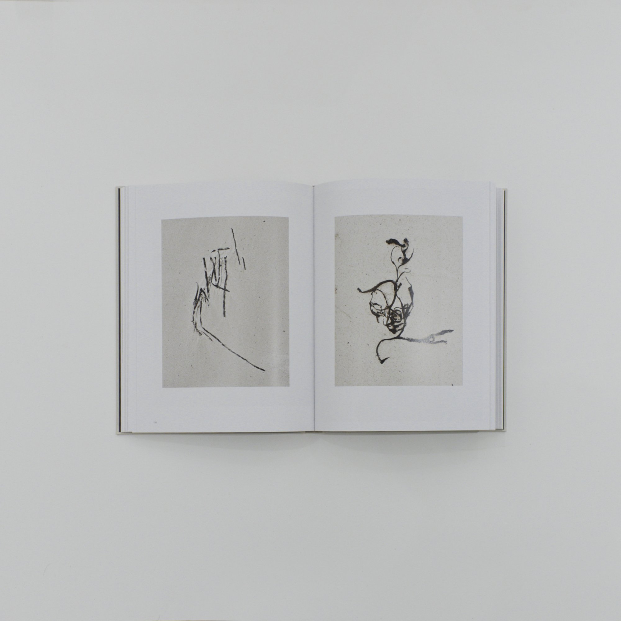Denis-Brihat_Les-métamorphoses-de-l'argentique_B.jpeg