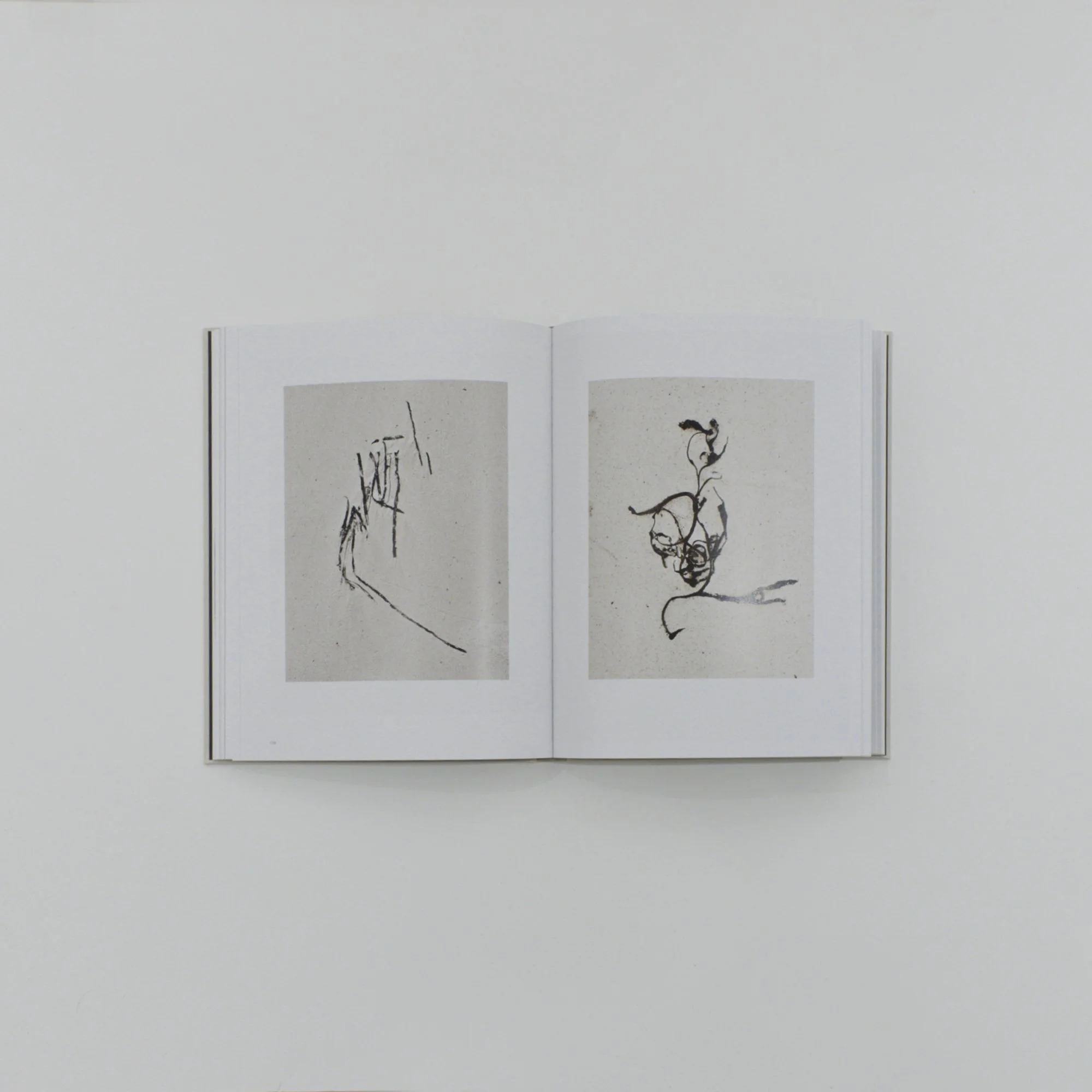アート・デザイン・音楽 Miroslav Tichy Gianfranco Sanguinetti