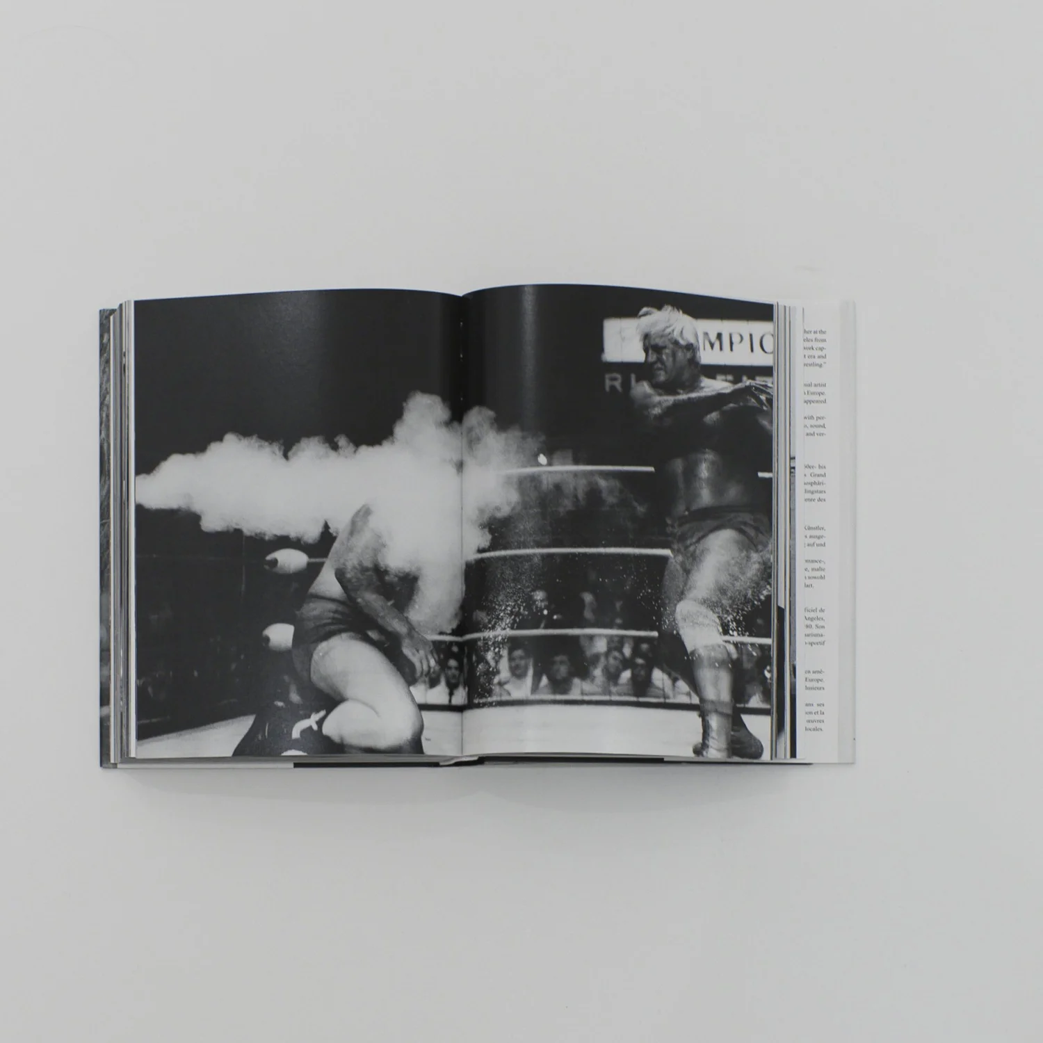 Exquisite Mayhem. The Spectacular and Erotic World of Wrestling 