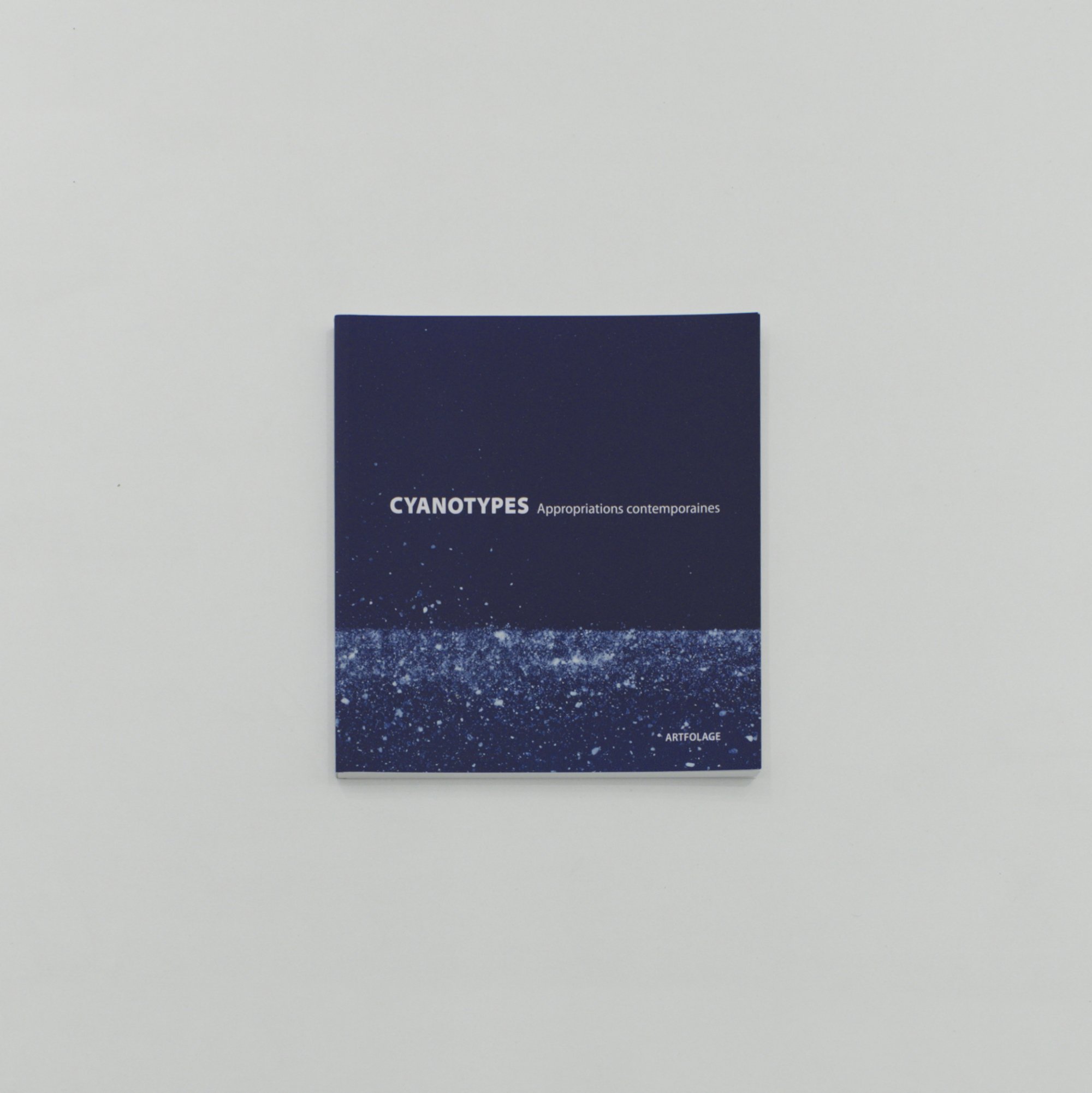 cyanotypes_appropriation-contemporaine_37.jpeg