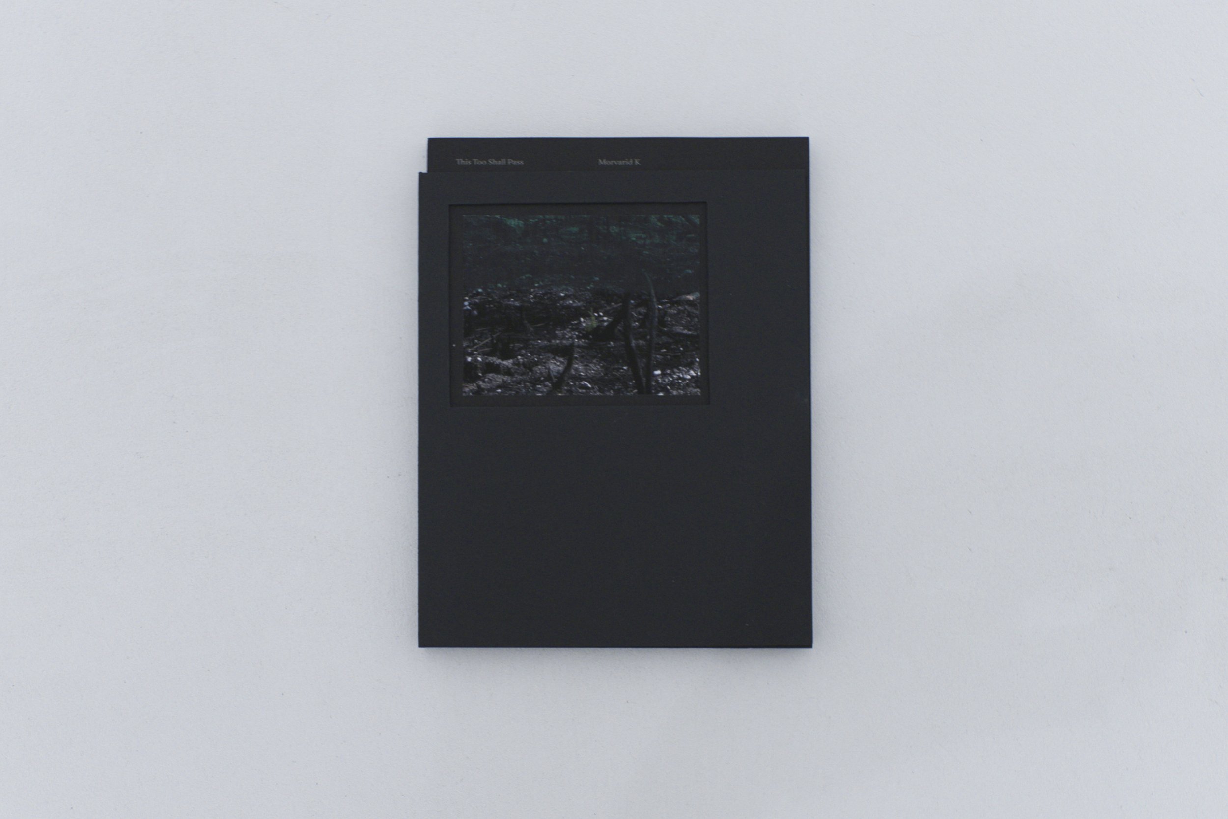 Livre_TTSP_cover_13.jpeg
