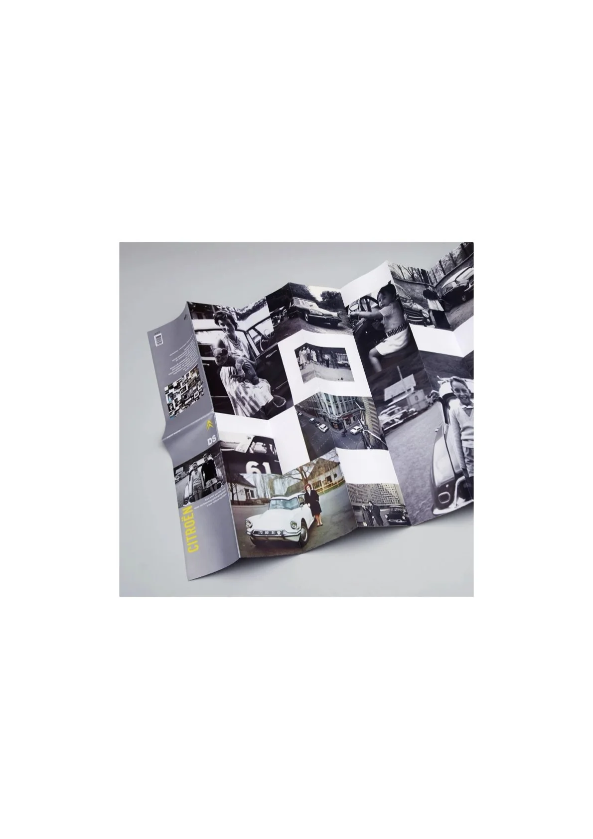 BookCover - DS .4.jpeg