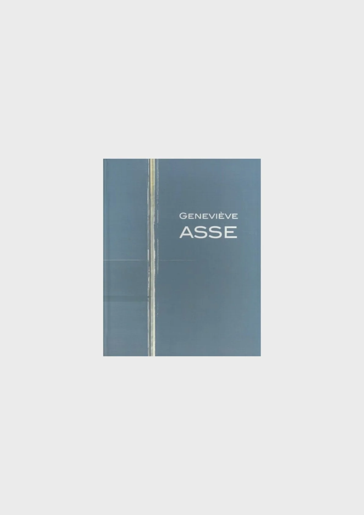 BookCover - ASSE .1.jpeg