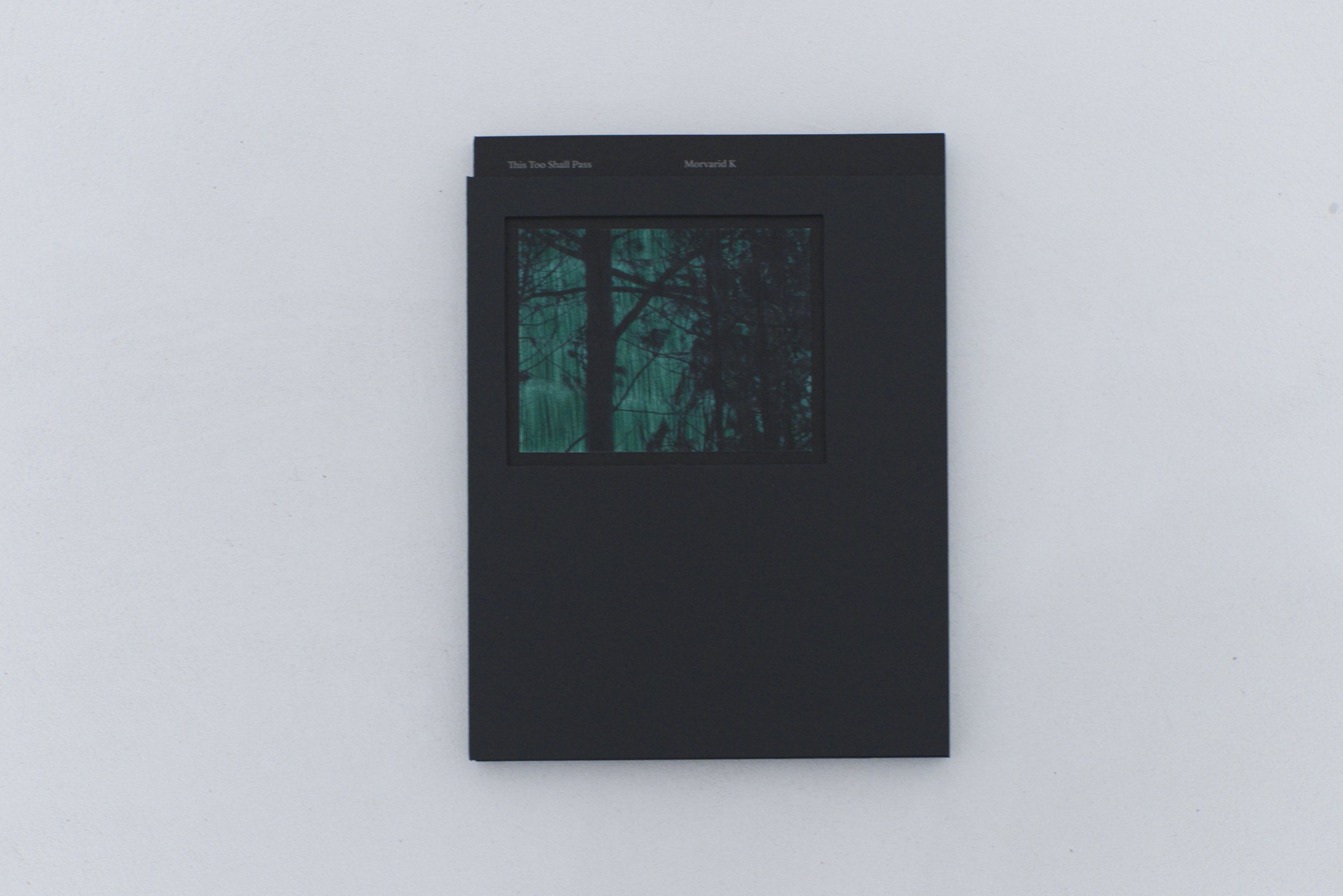 Livre_TTSP_cover_6.jpeg