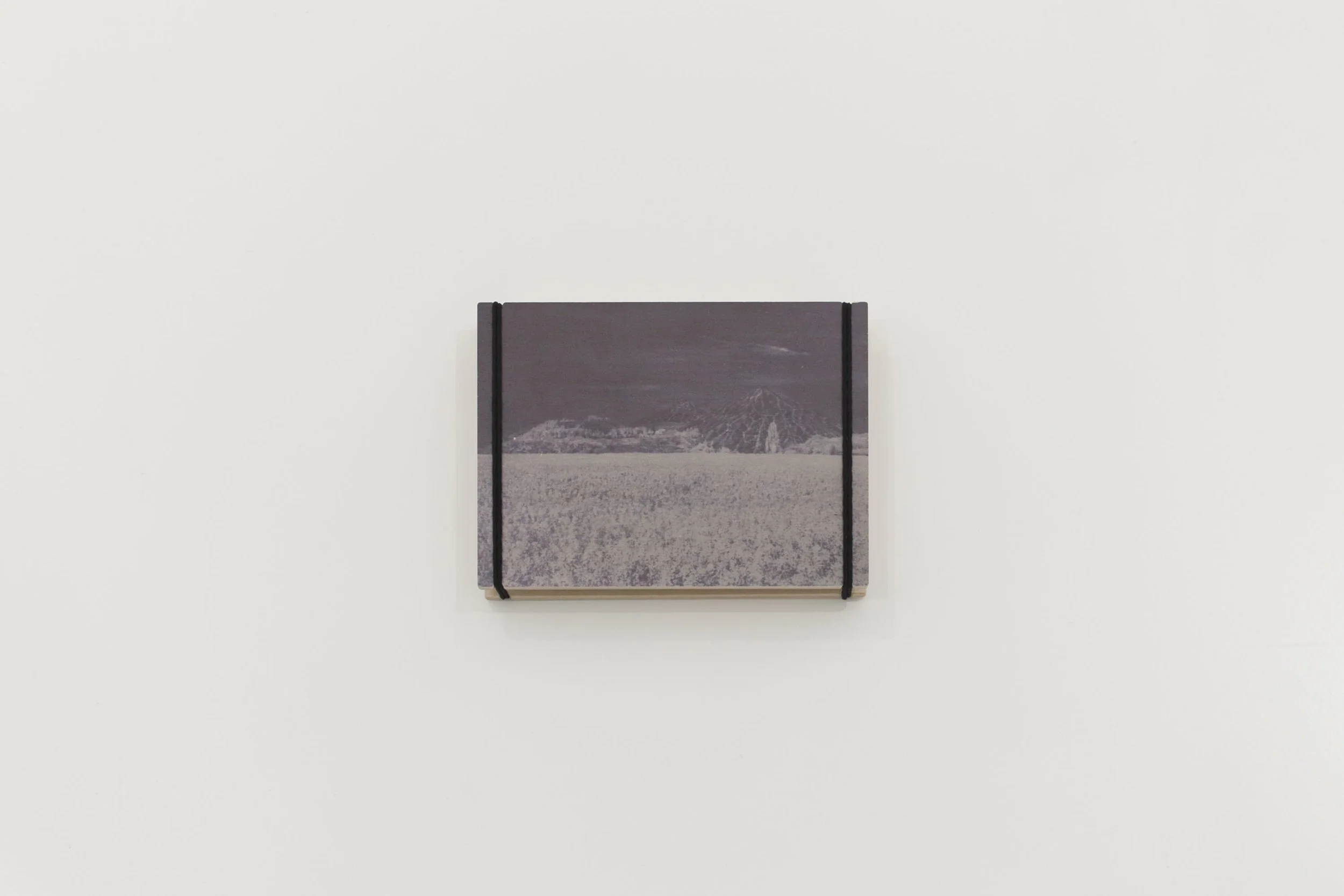 Bleu de Colza, Hideyuki Ishibashi x Maison Tempsens