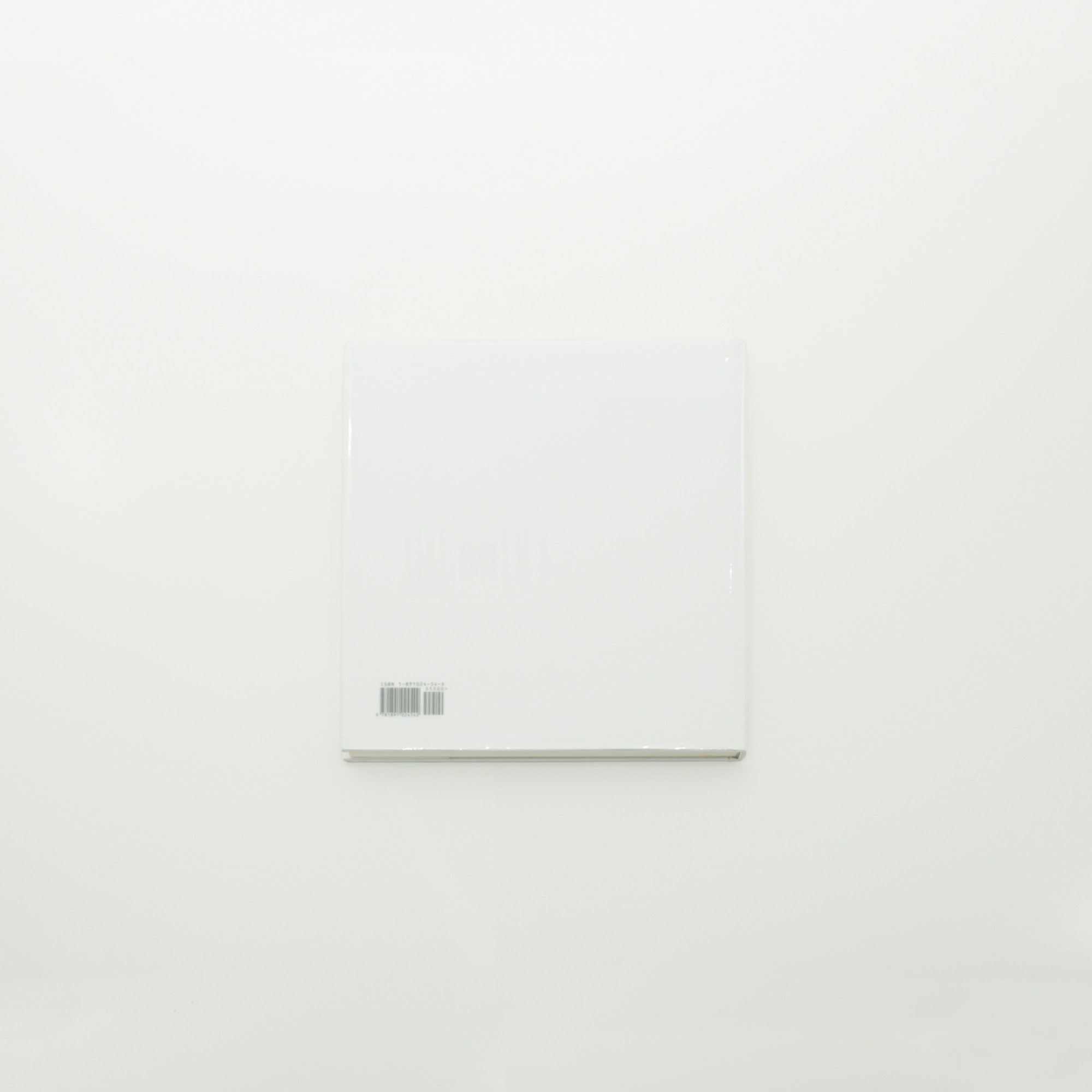 44_Marco de Michelis_Sugimoto Architecture_4.jpeg