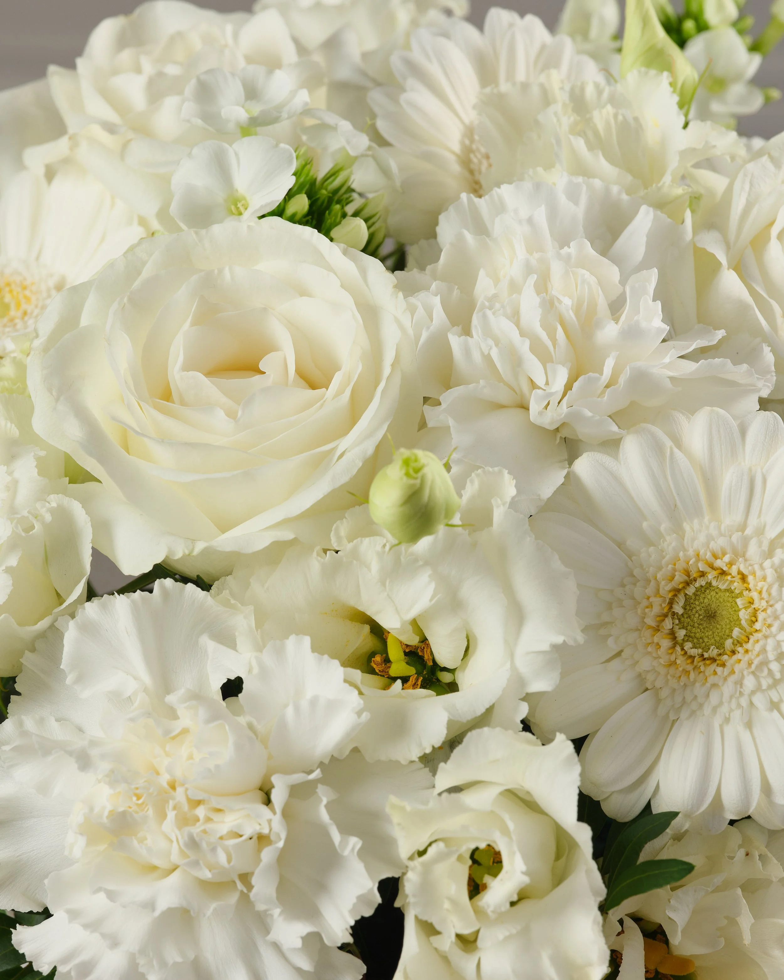 Aoyama Flower Market