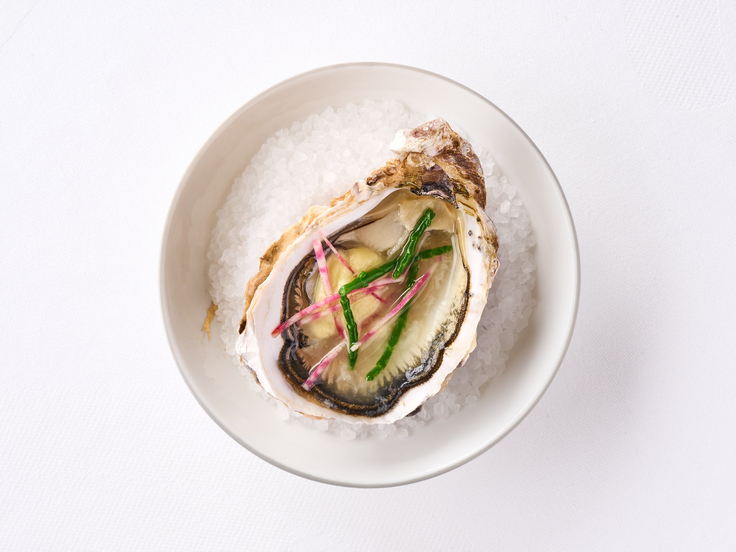 Sketch, The Lecture Room and Library