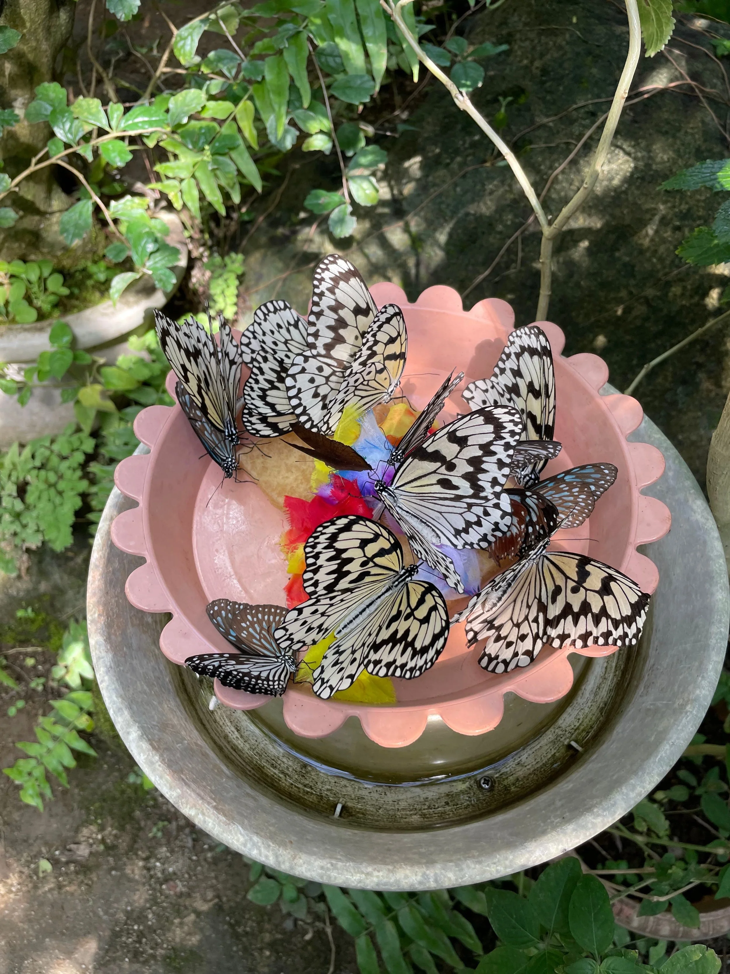 Tokyo with Kids? Go Wild at This Unique Living Things Park