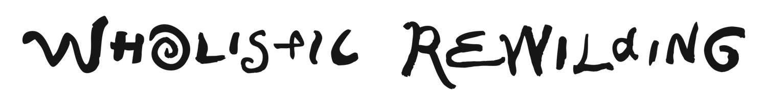 Wholistic Rewilding