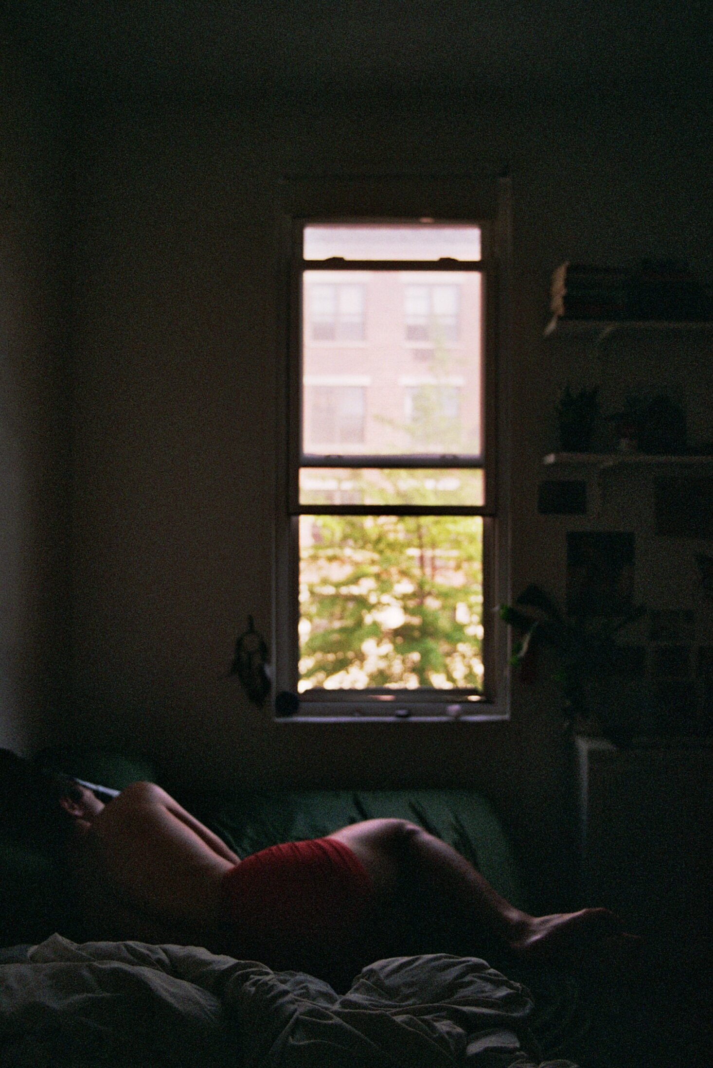 00384_13A.jpg