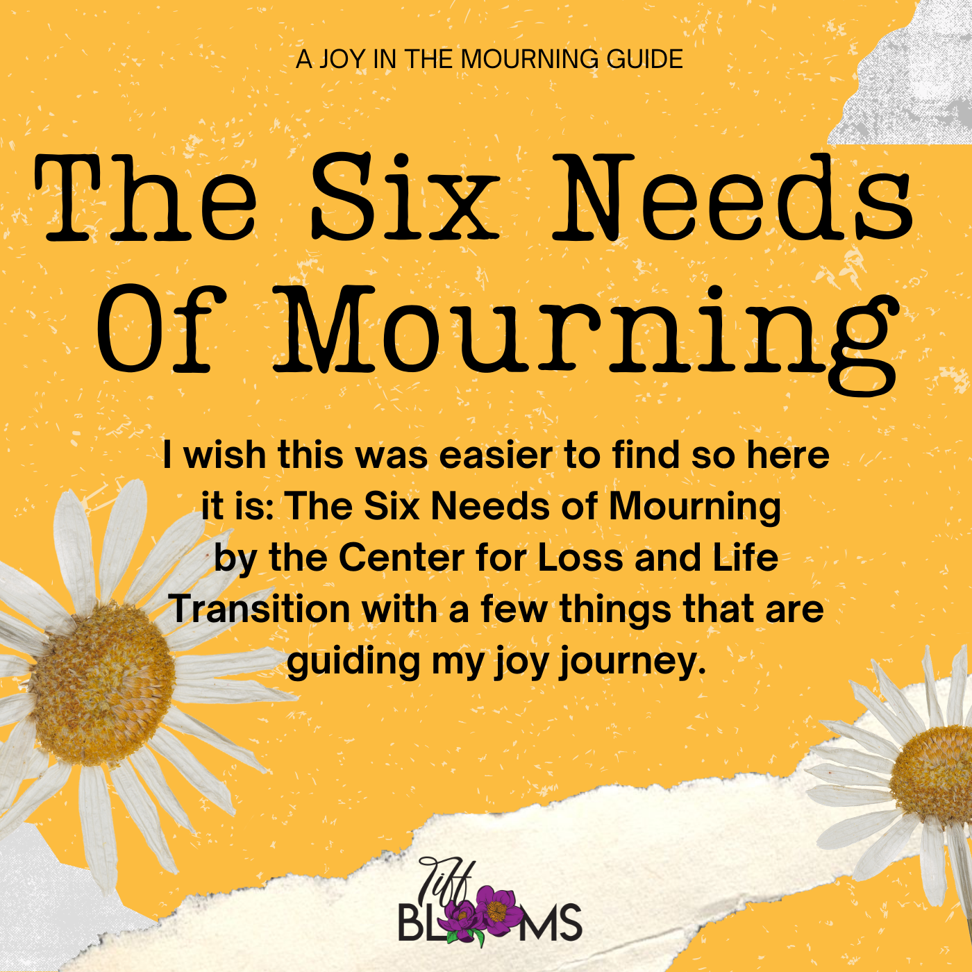 A Joy in the Mourning Guide - 3.png
