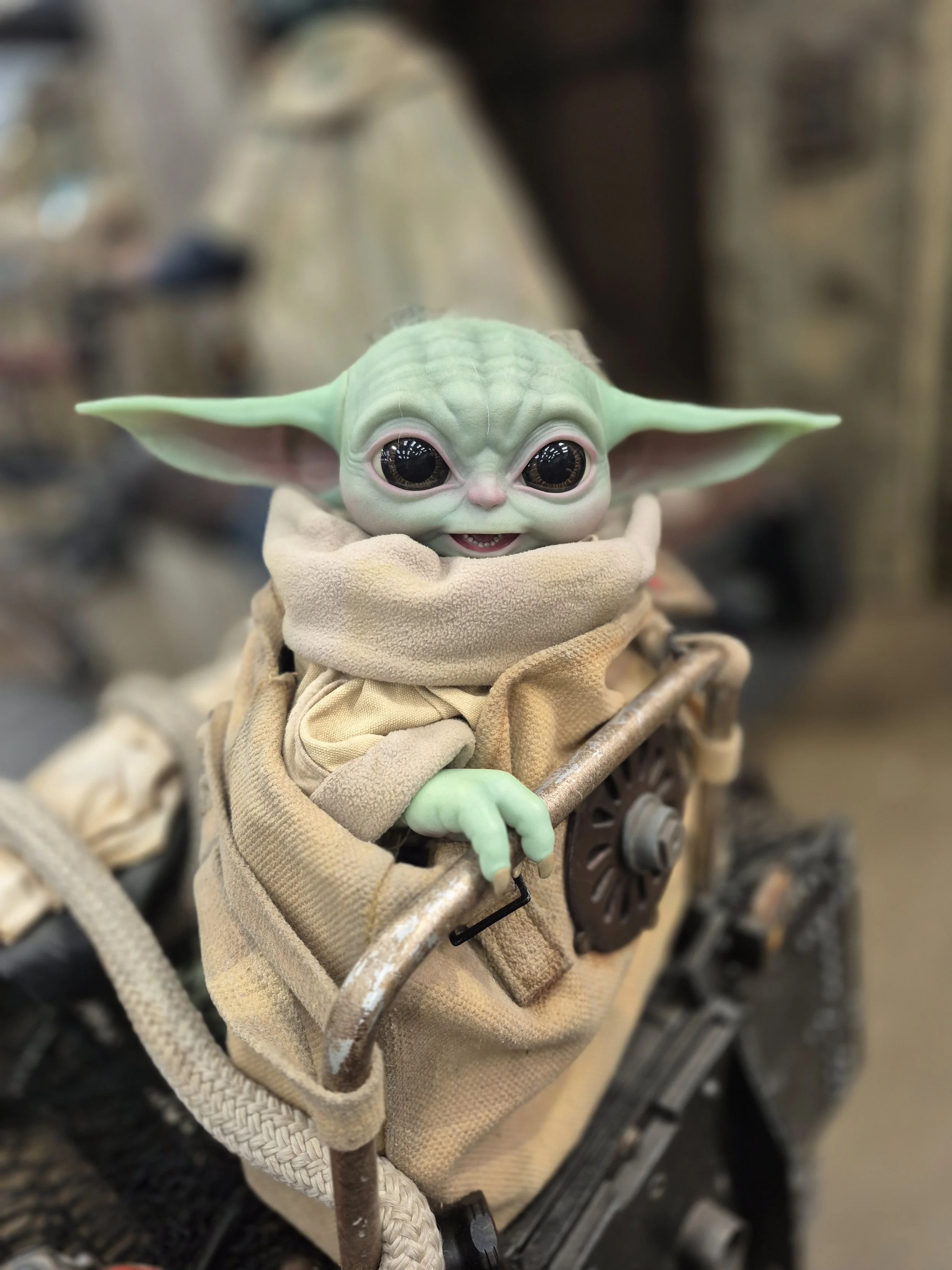 Festival of the Force 2026