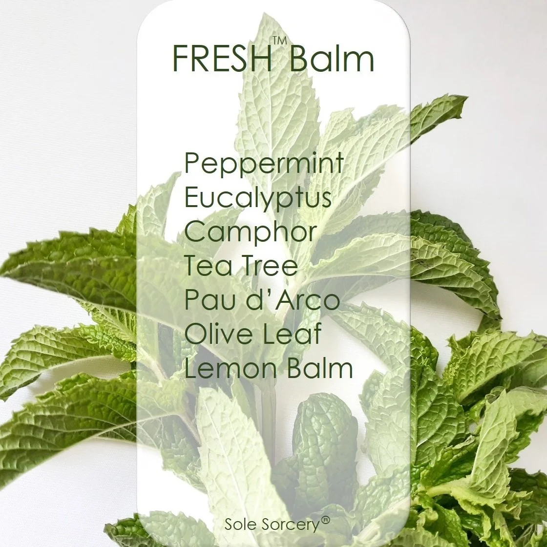 SS Fresh Ingredients.jpg