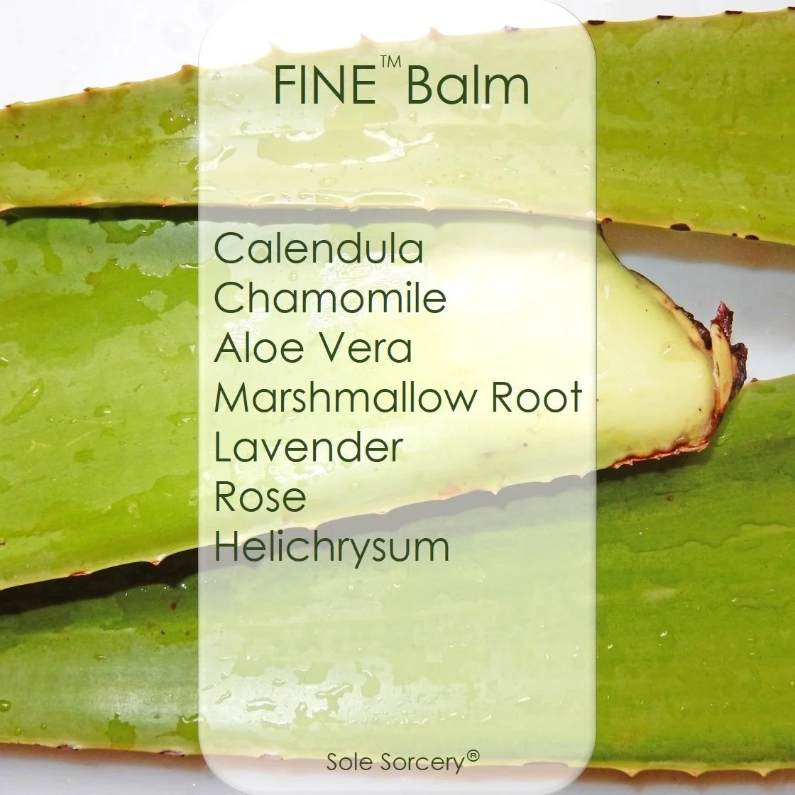 SS Fine Ingredients 2.jpg