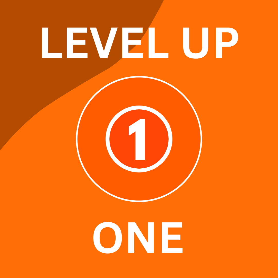 Level Up 1: Advanced Beginner Skate Skills