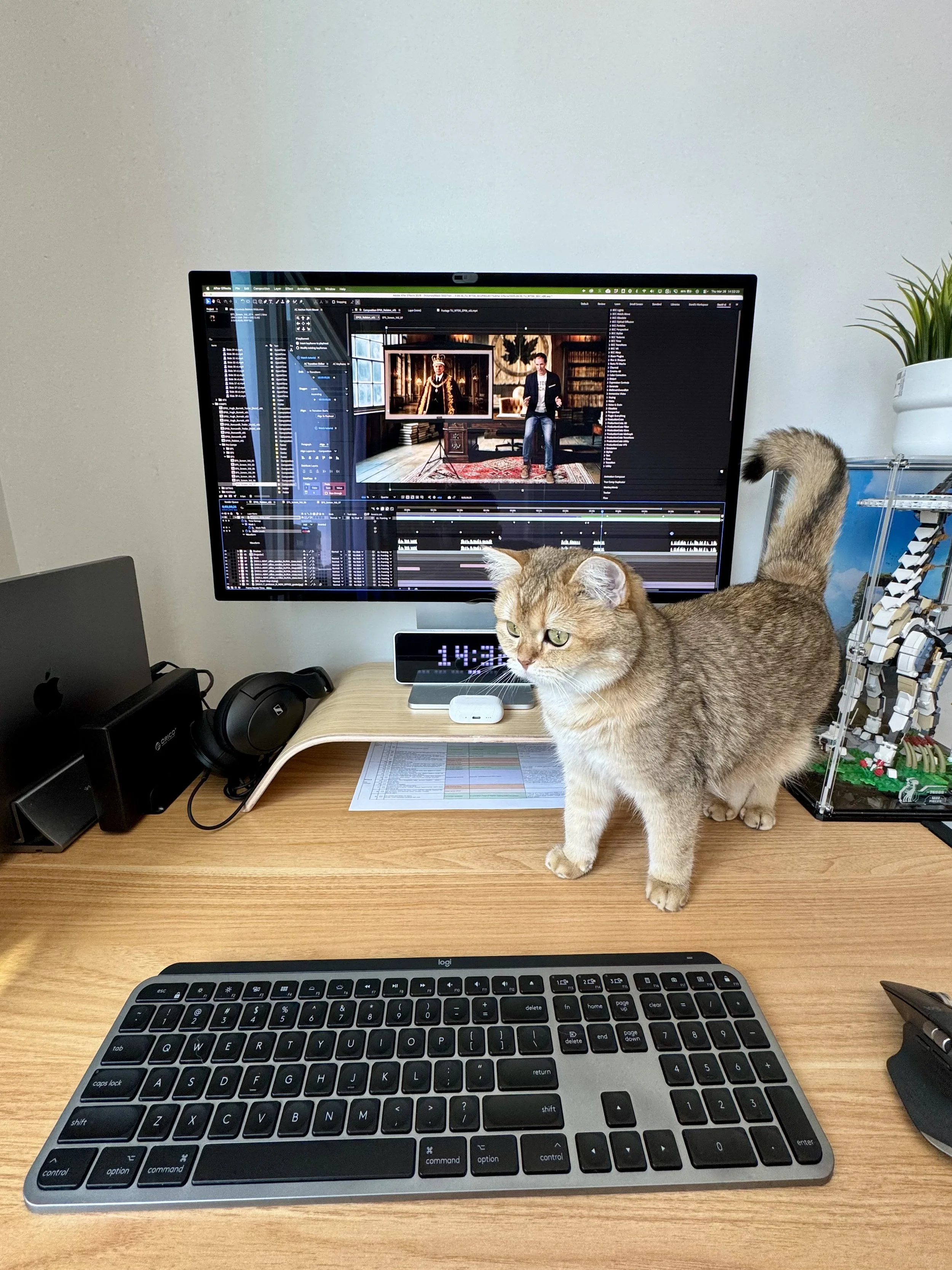 A computer setup on a wooden desk with a large monitor displaying video editing software, a black keyboard, a wireless mouse, a small digital clock, and a ginger cat with white paws and green eyes sitting in front of the monitor. There is also a pott
