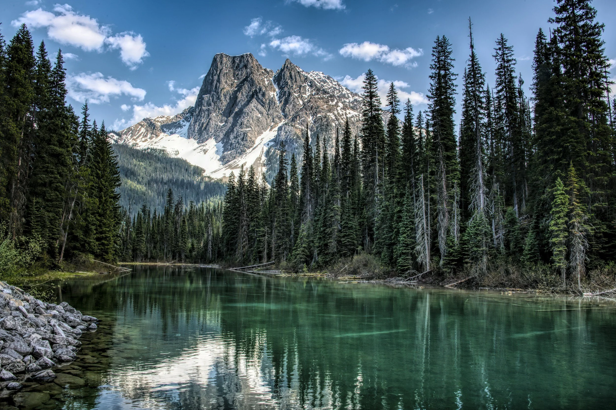 Now Offering Online Therapy Across British Columbia