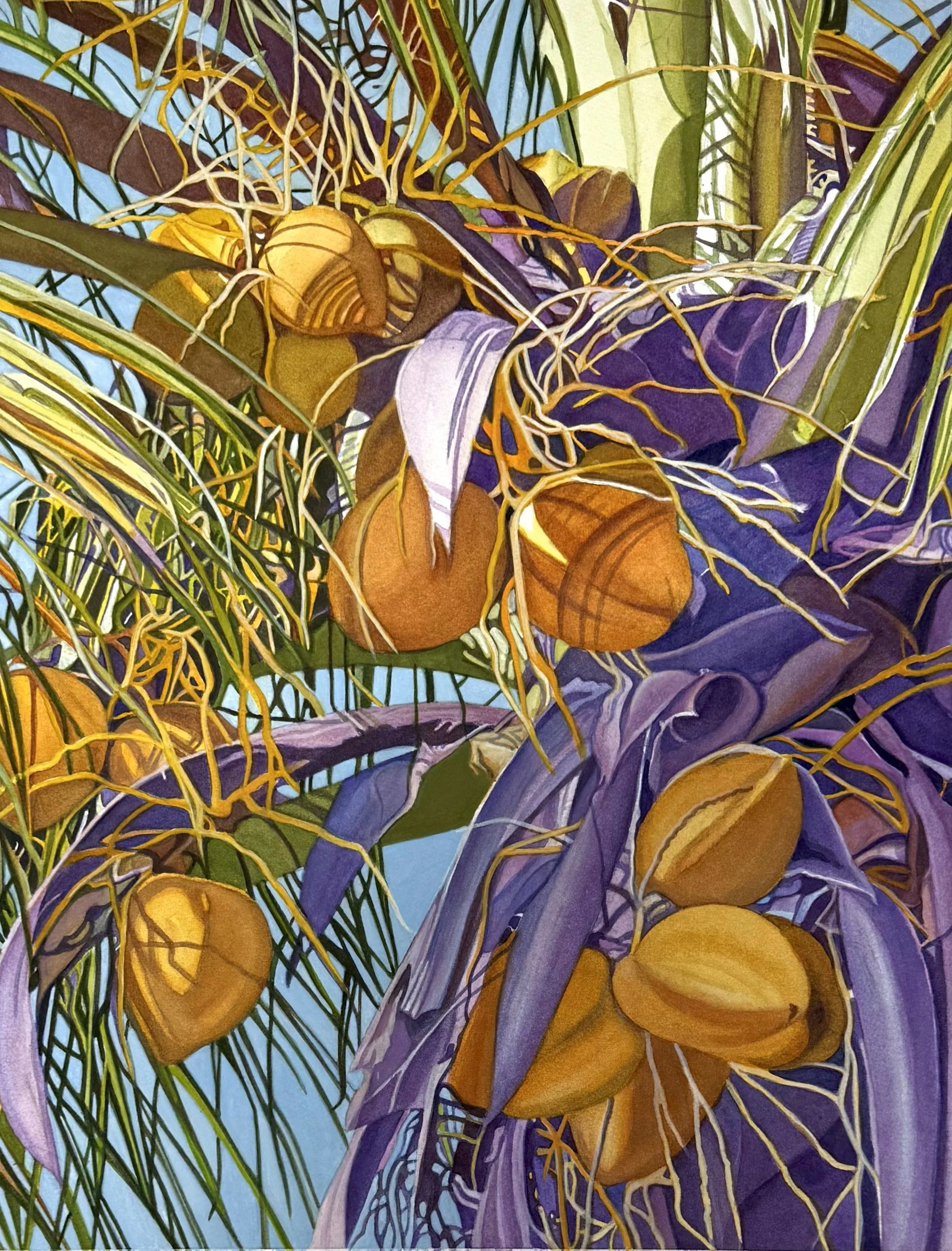 Cuckoo for Coconuts:  Watercolors on Paper, 22" x 17"