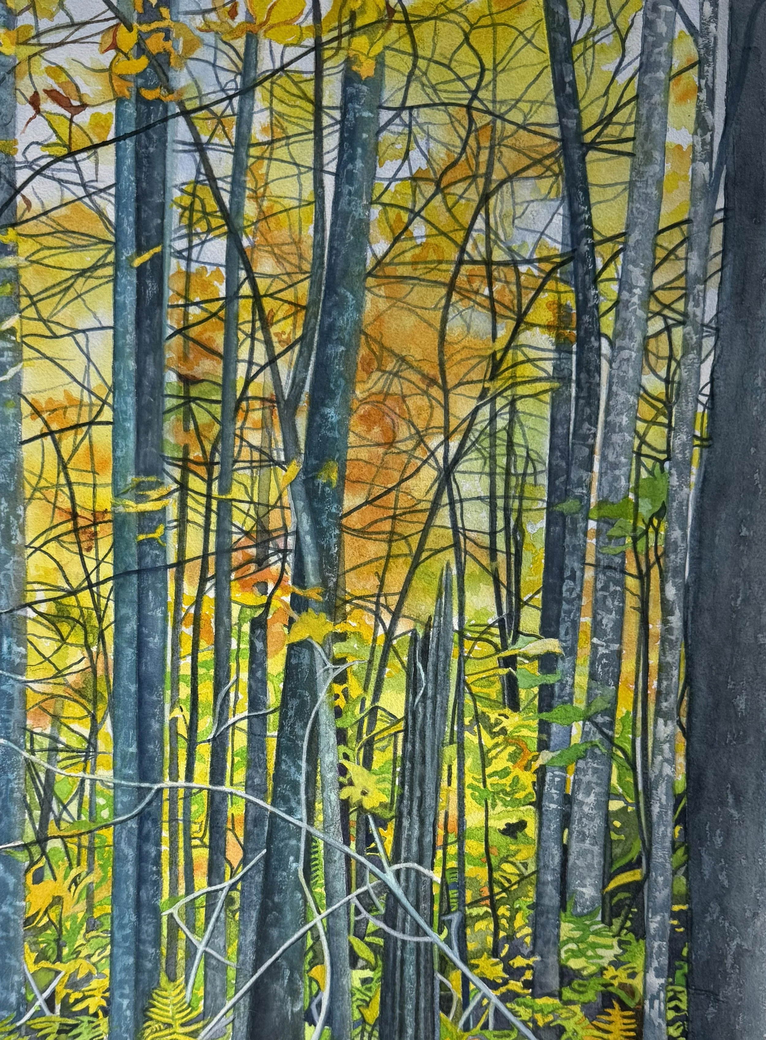 Autumn in Brevard.jpg