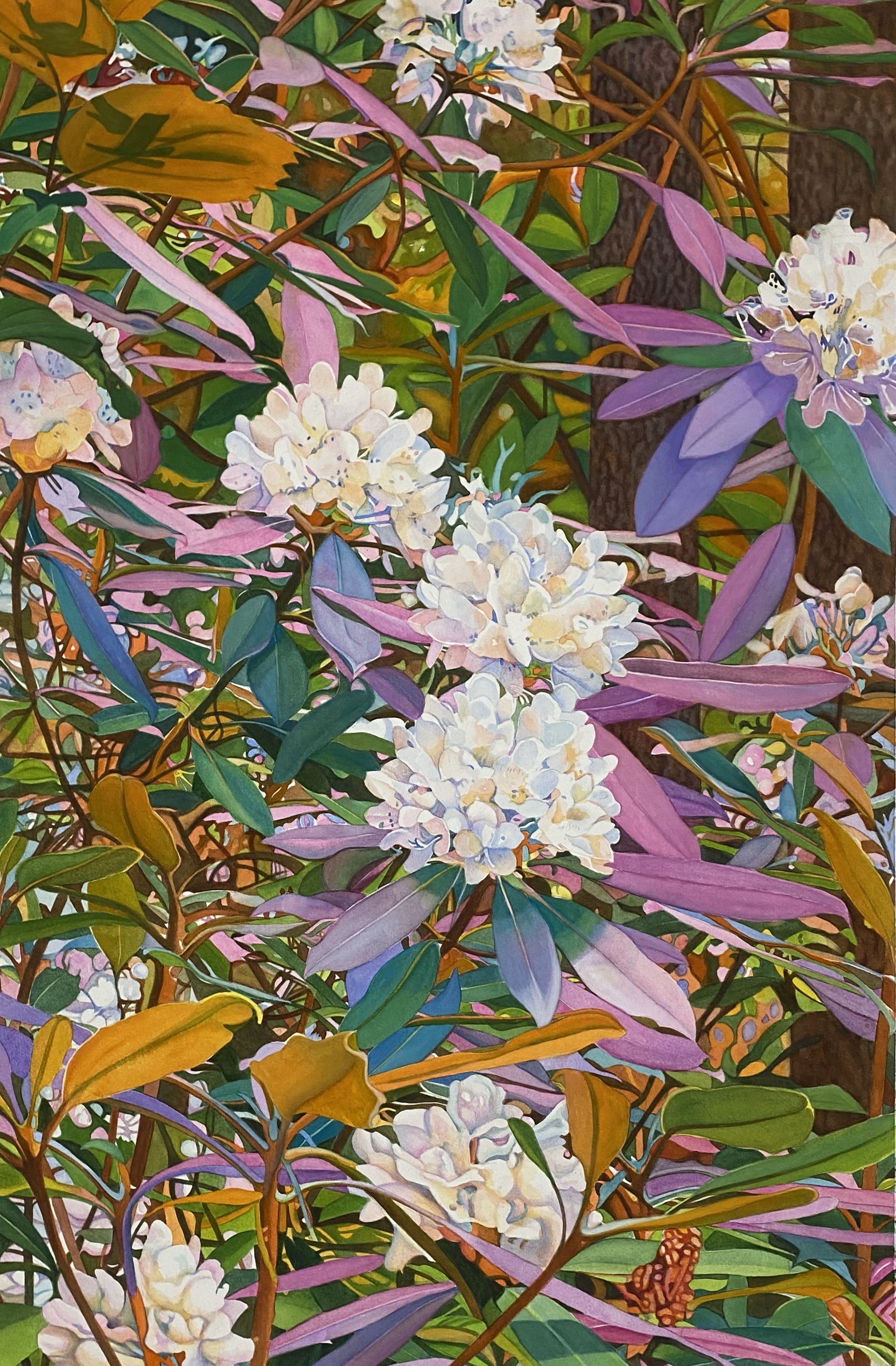 Rhododendrons:  Watercolors on Paper, 24" x 36"