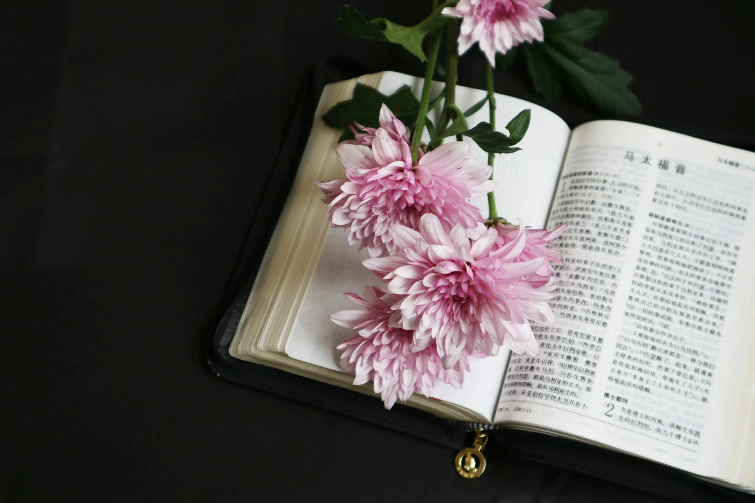 Pink and white flowers laid on an open book with Chinese text on a dark surface.