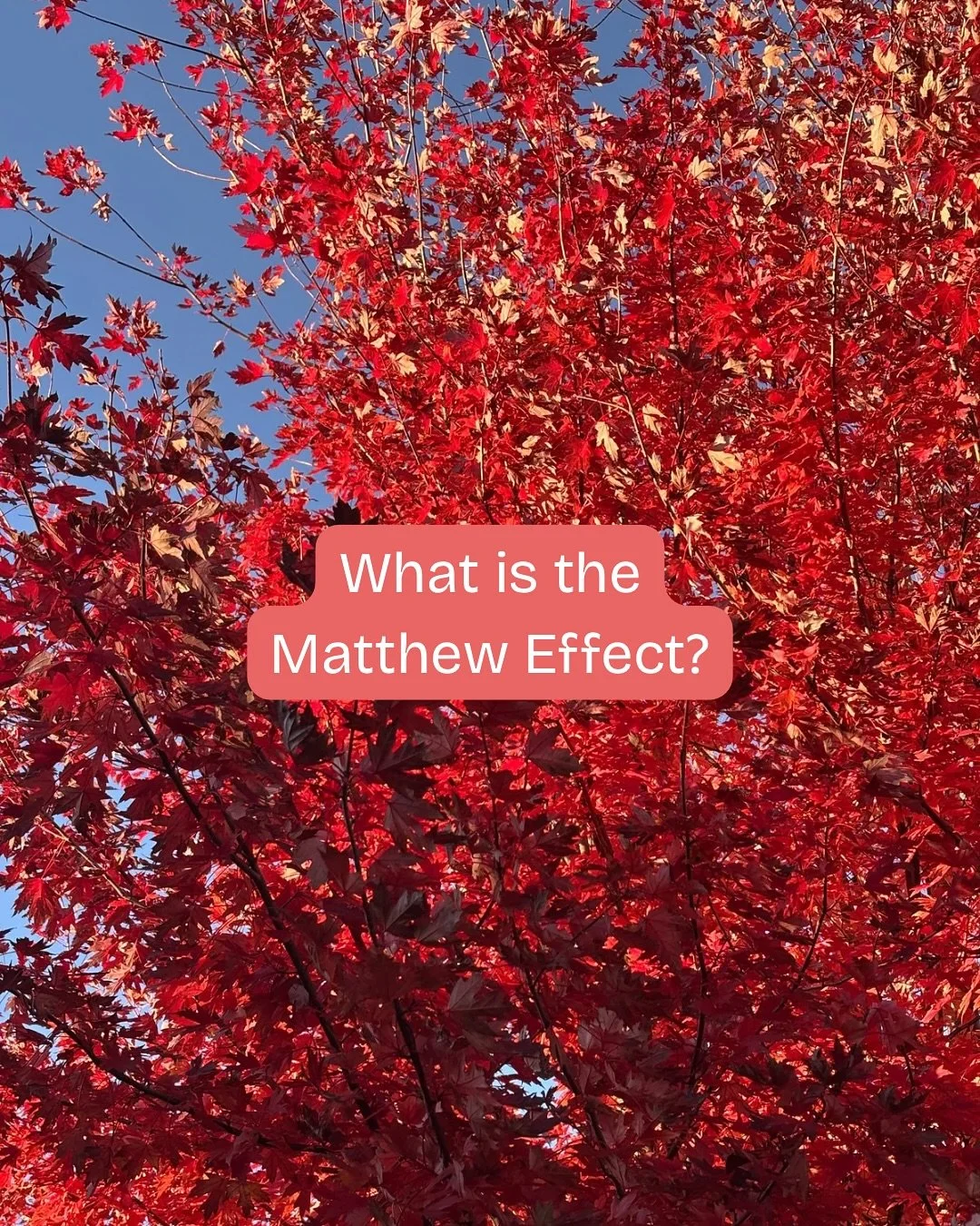 This can be such a tricky topic to talk about but it&rsquo;s important to discuss the ways that income affects our students lives and education. How have you seen the Matthew Effect play out in your students lives? What about your own? 

#substack #f